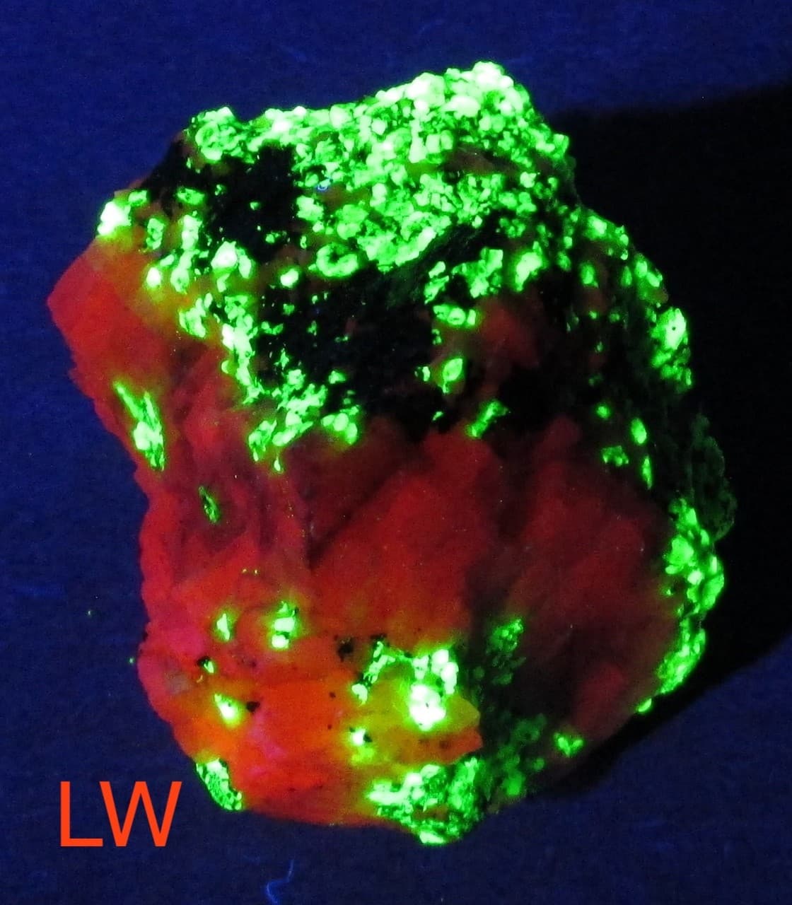Pale Mint Green Bi-Wave Willemite  Fluorescent Mineral Franklin NJ 3
