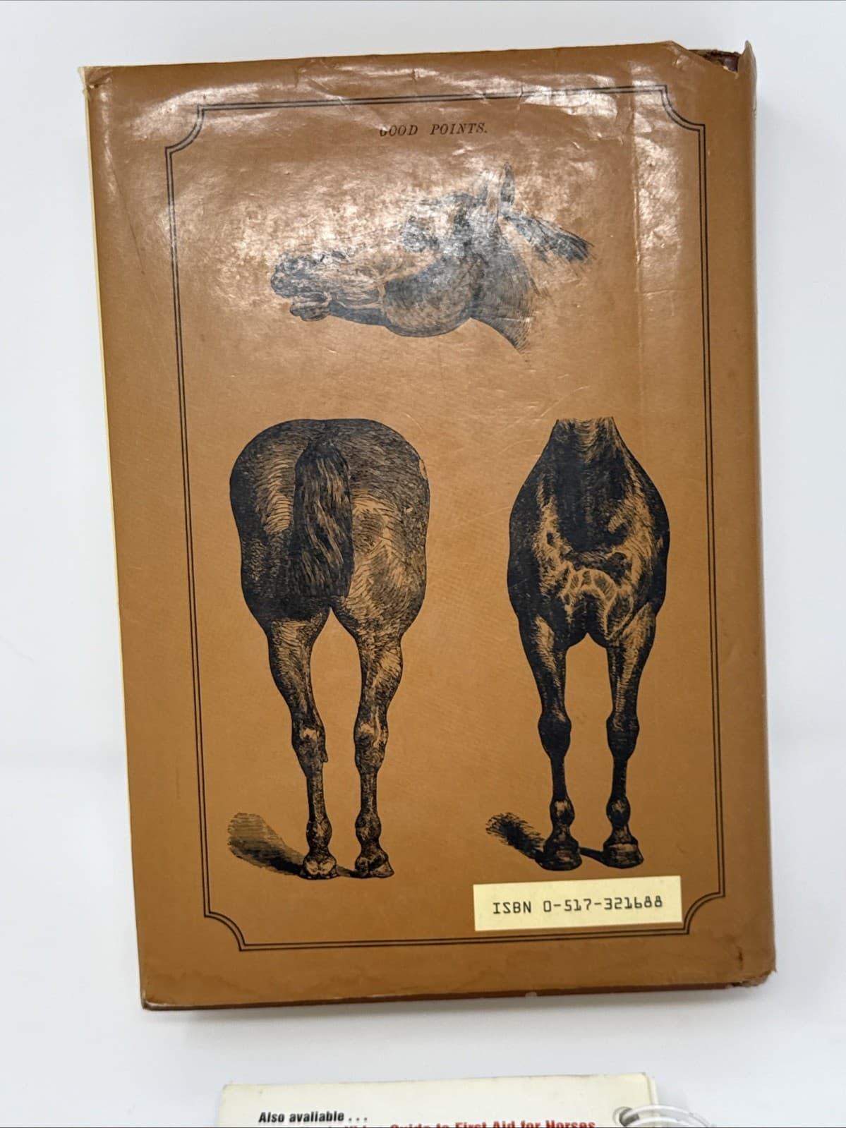 Lot of 2 -  Encyclopedia of the Horse By Dennis Magner & First Aid for Horses 6