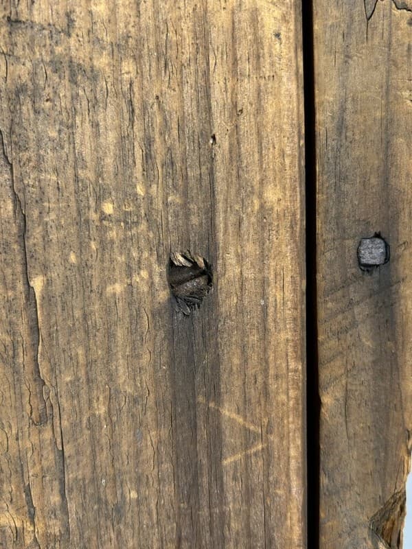 antique snow sled scoot hand made 42 in steel runners natural 19th c original 3