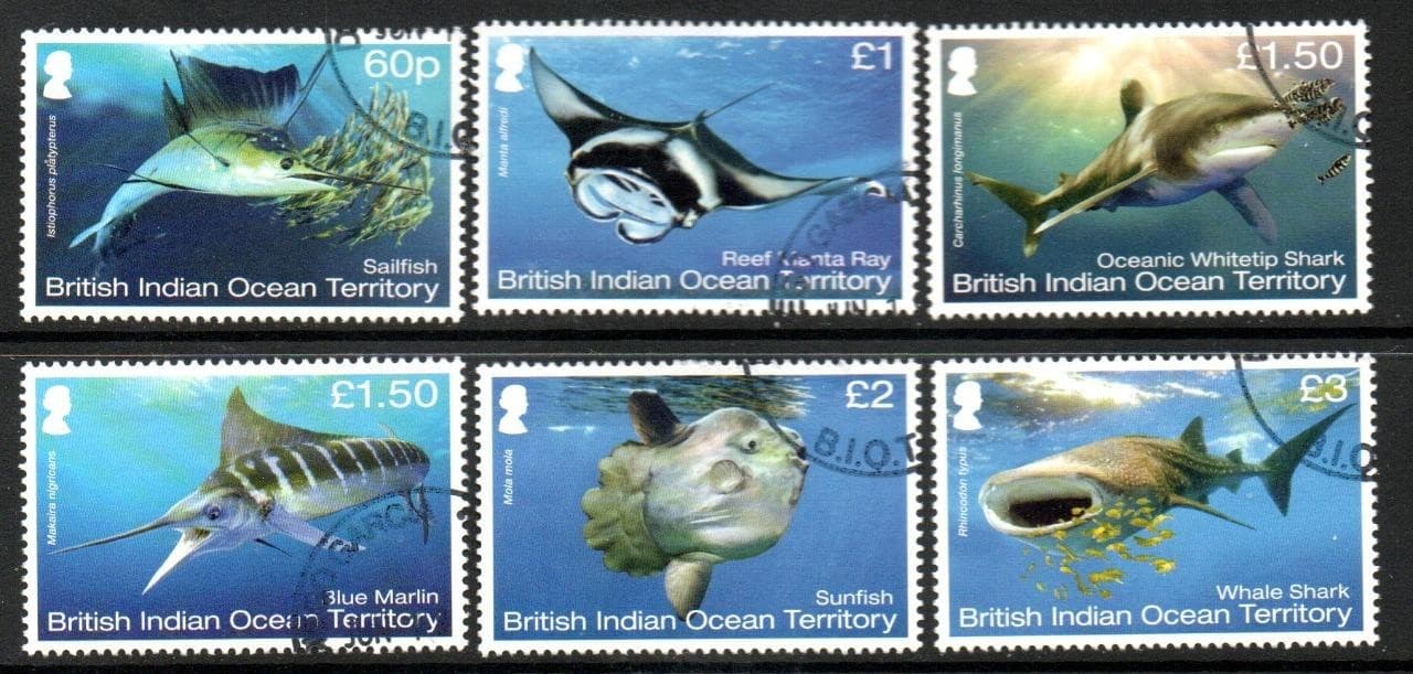 B.I.O.T. USED 2017 SG515-20 Megafauna