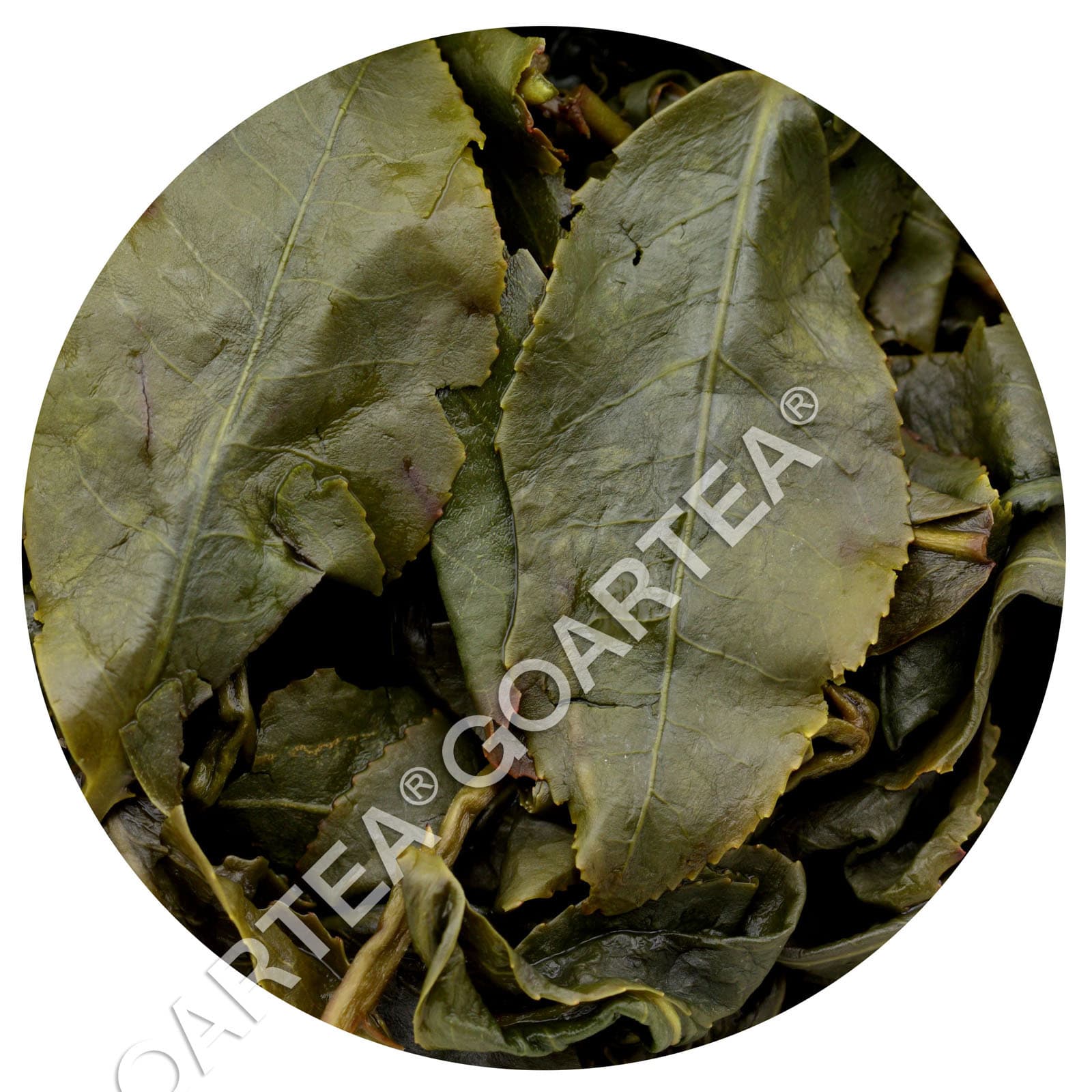 GOARTEA 250g Premium Taiwan Dongding Oolong Tea High Mount Tung-ting Green Loose 6