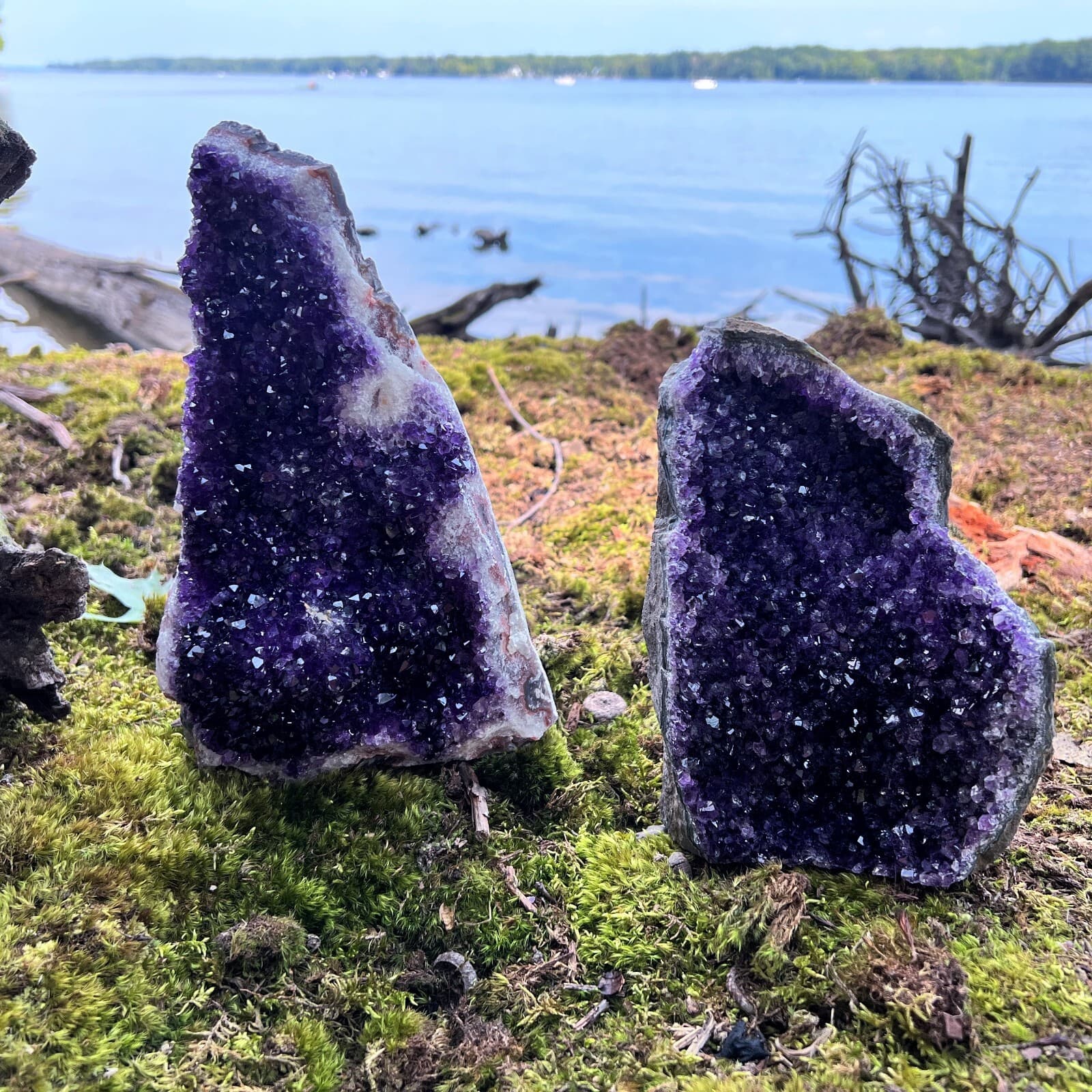 HUGE XXXL LARGE Amethyst Druze Crystal Cluster w/ Cut Base Specimen ~ 3.5-5.5 Lb 6