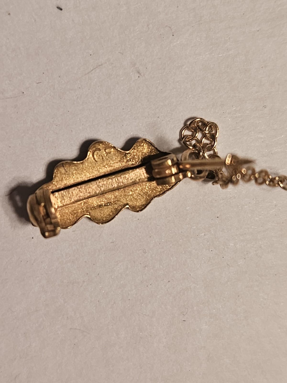 Vintage 10K Gold National Congress Parents Teacher PTA Lapel Pin 1897 California 5