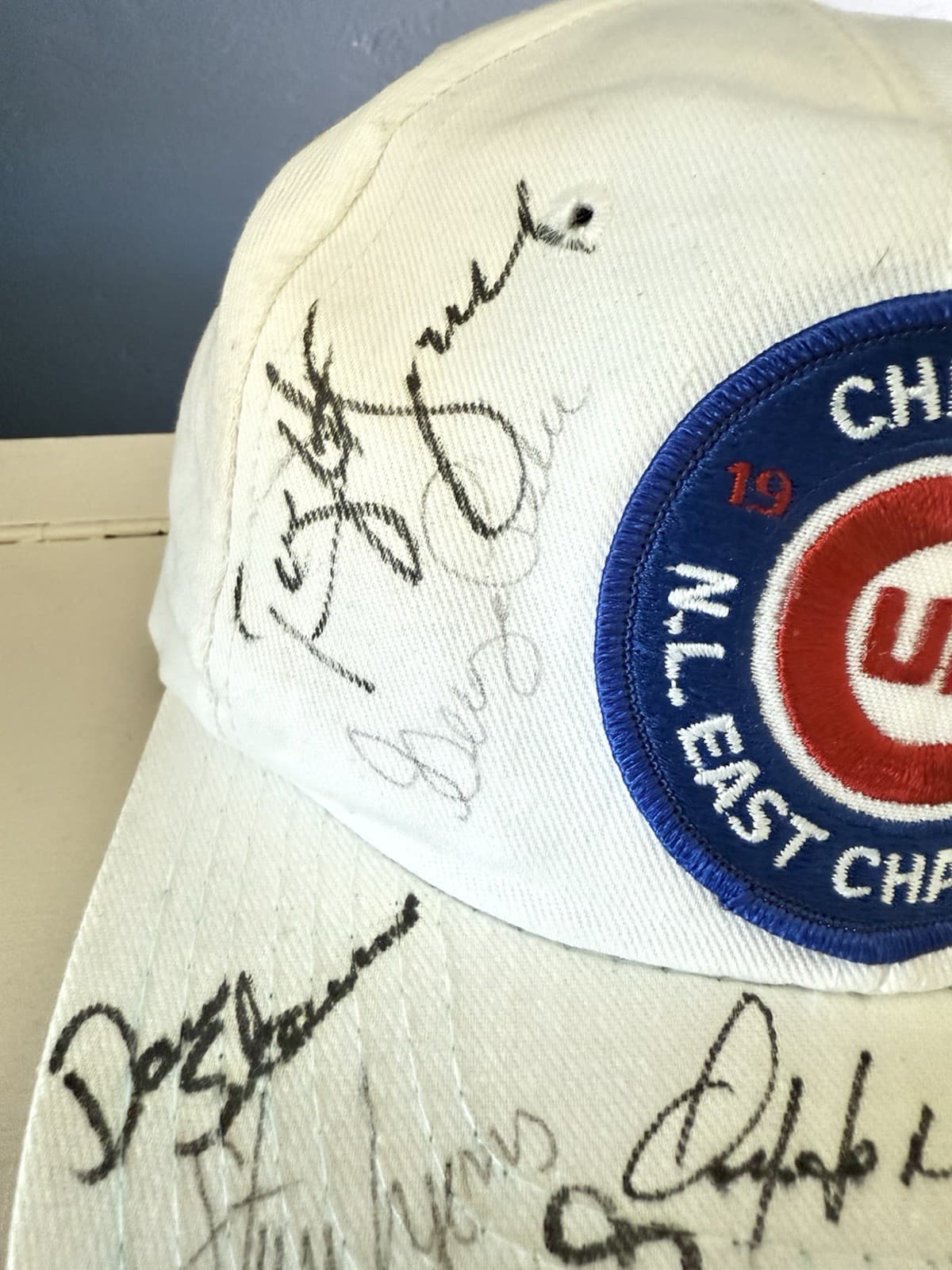 Vintage White Chicago Cubs 10 Players Autographed Cap 1989 N.L. East Champions 2