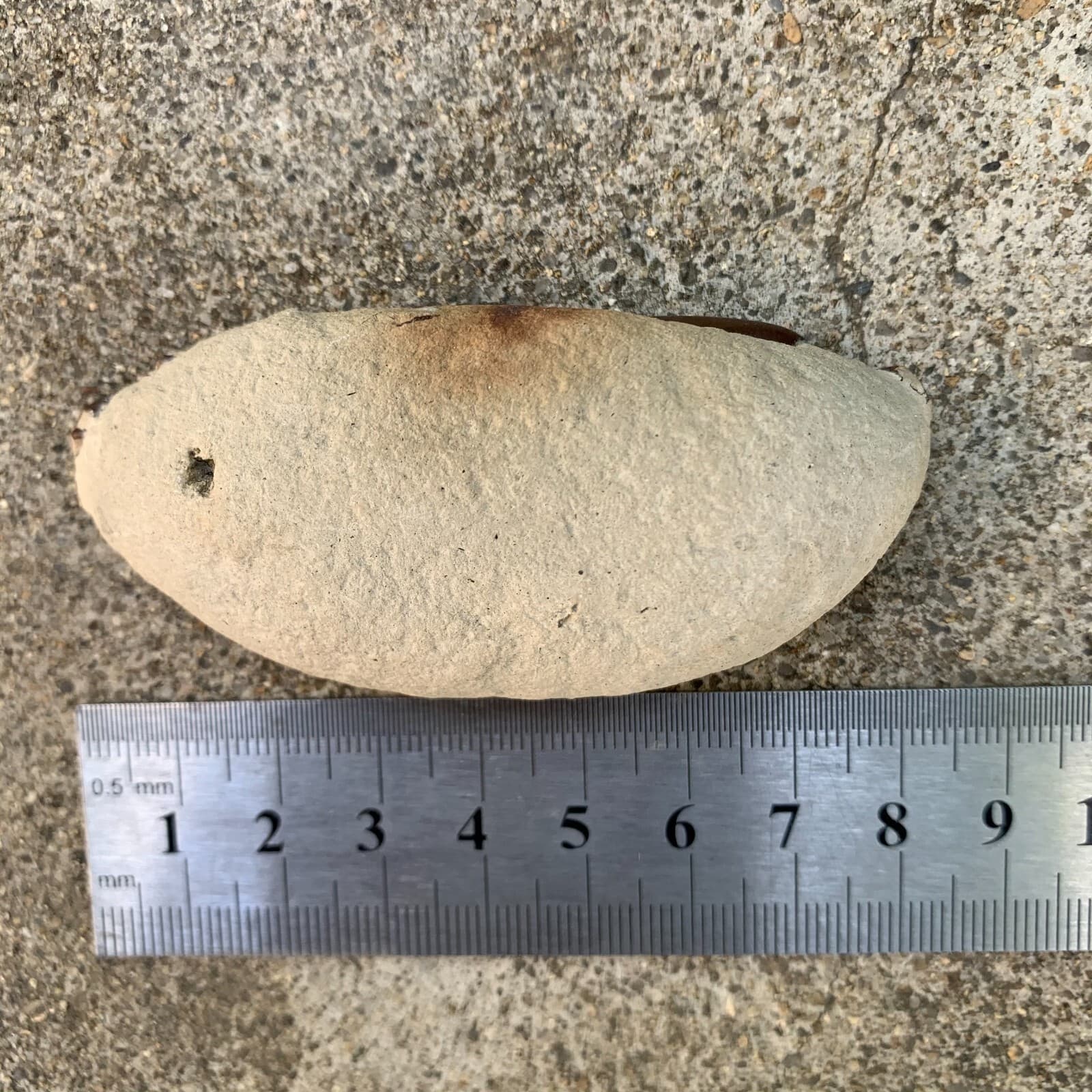 Jurassic Period Perfect Crab Fossil Dinosaur Age 6