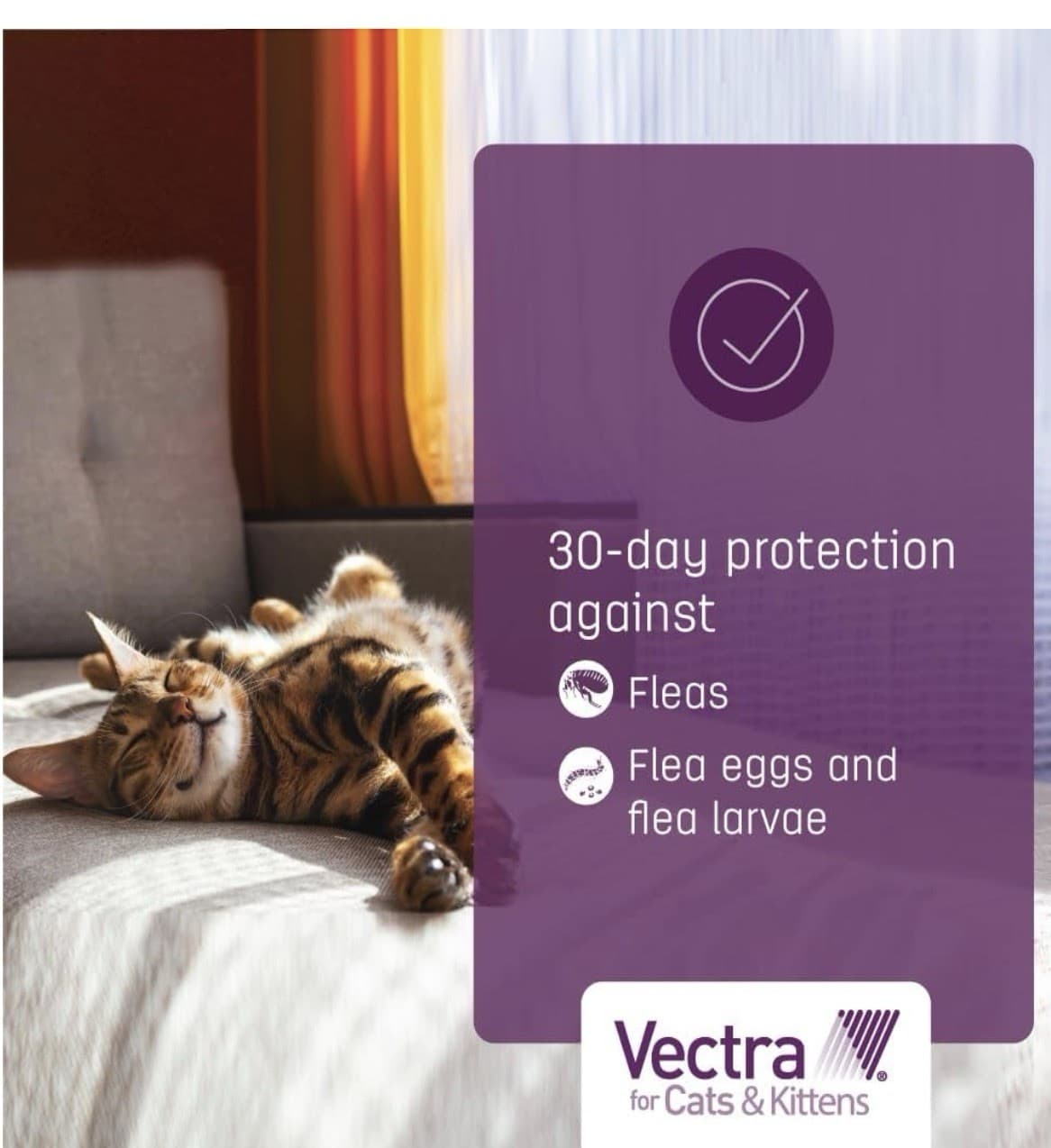 Vectra For Cats And Kittens Flea Treatment And Prevention For Small Cats 2-9 Lbs 5