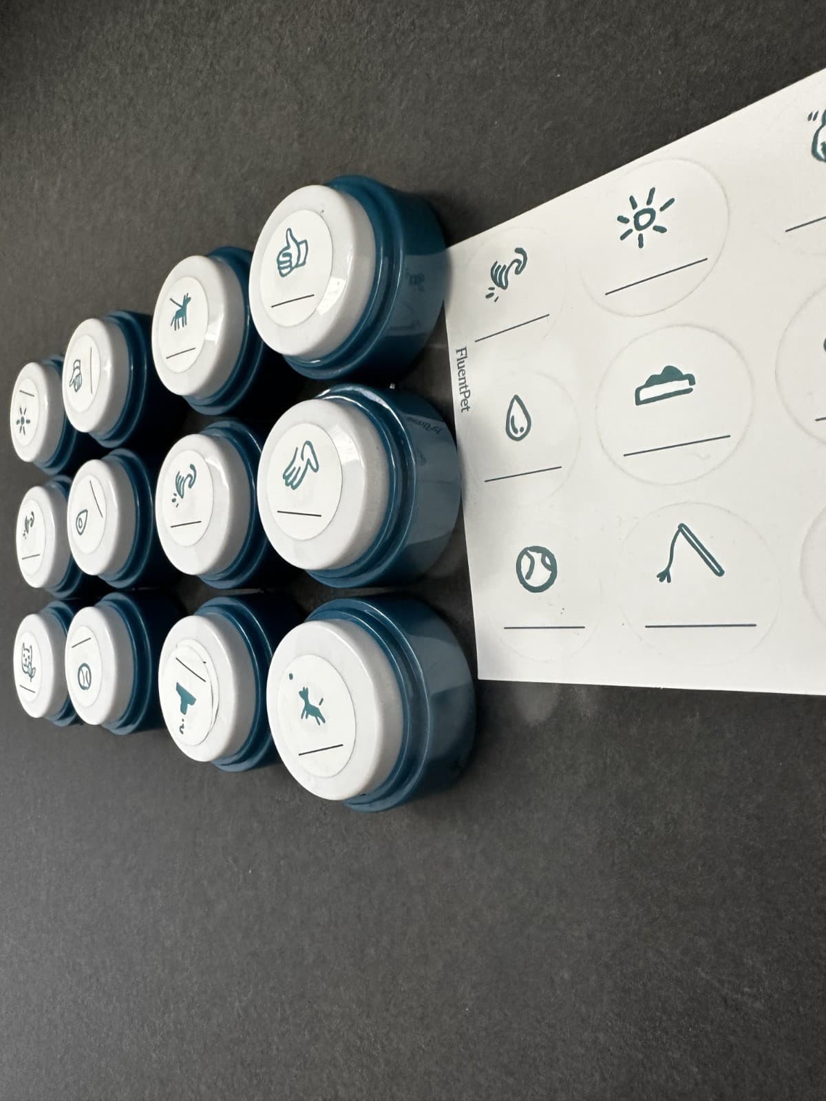 FluentPet Basic Buttons - Set of 12 - Open Box - Recordable - Used 5