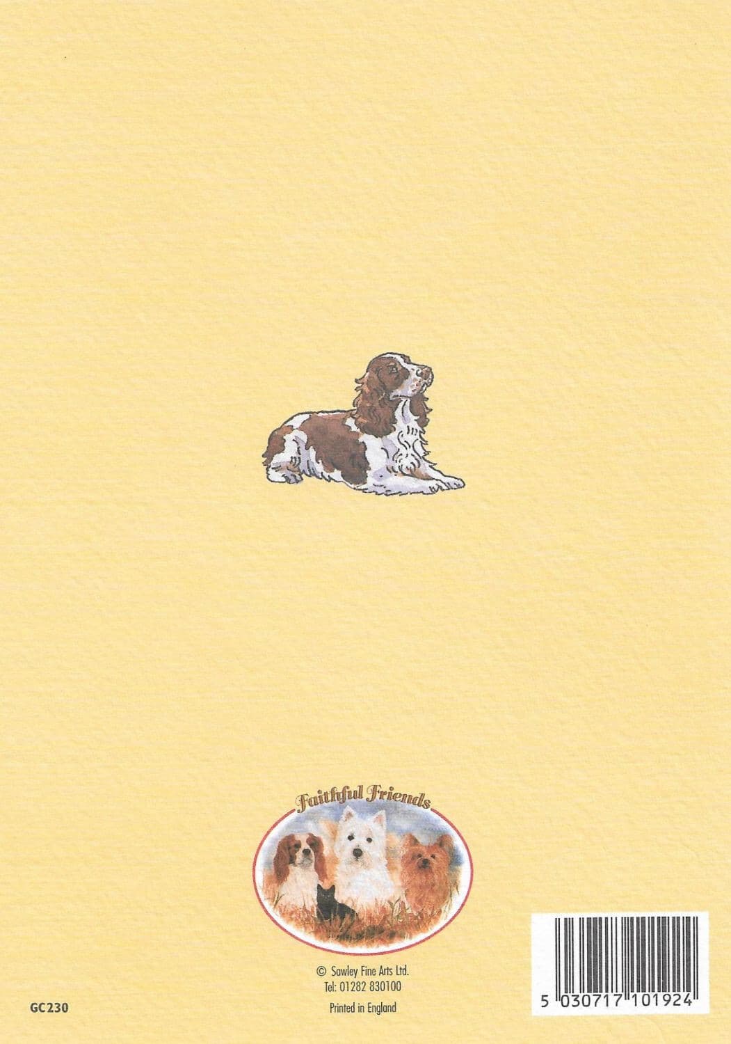 English Springer Spaniel Note Card ~ Springer Poses 2