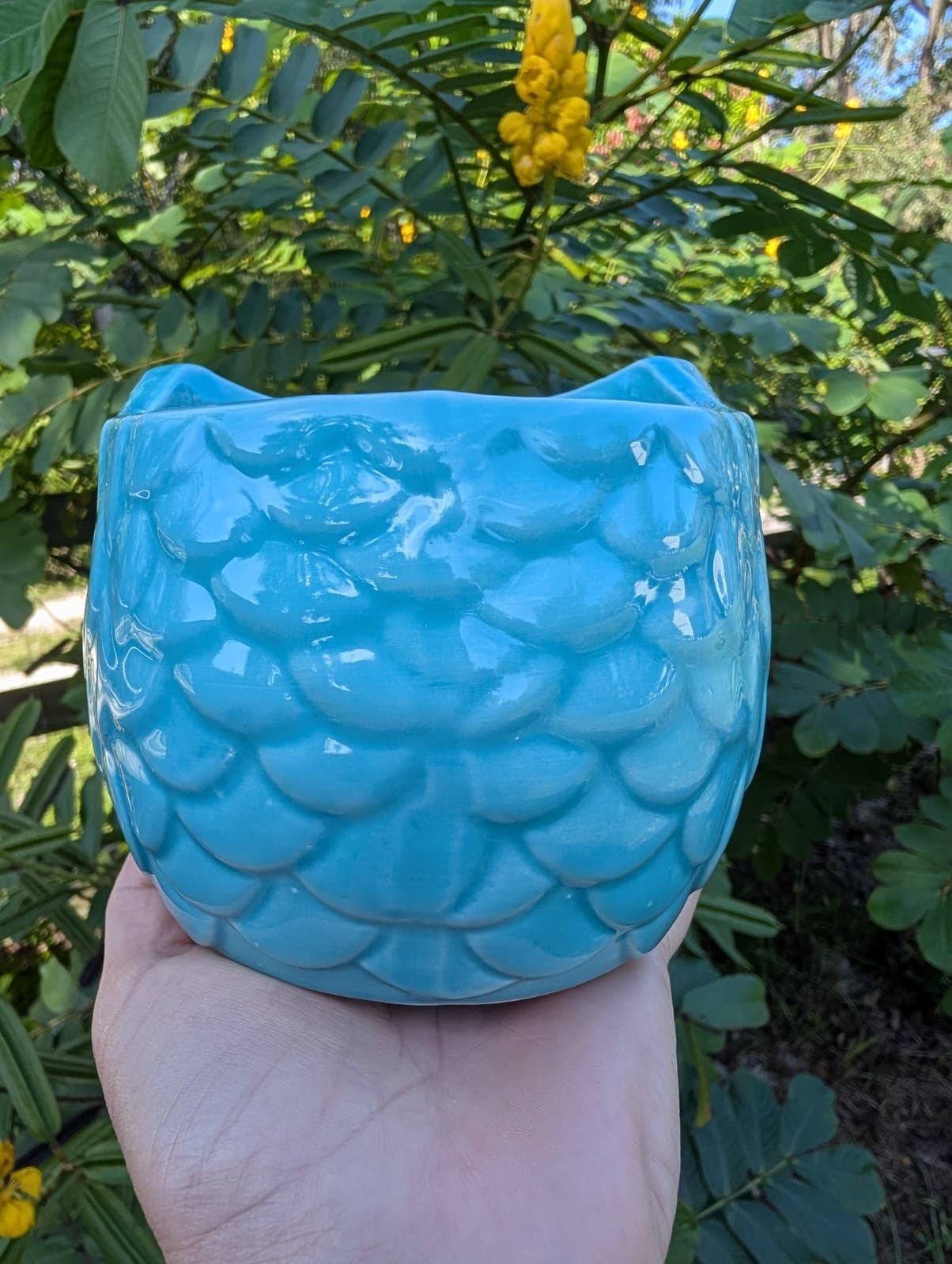 Teal Owl Ceramic Planter Pot Animal Shaped Succulent Flower Pot Halloween Cute 2