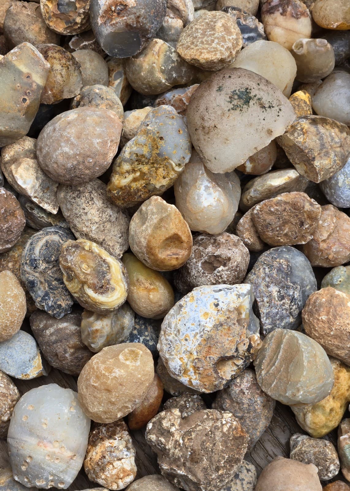 Oco Agate Geodes Whole - Mine Run Rough - 1 Pound Lb - Mostly Solid Agate 2