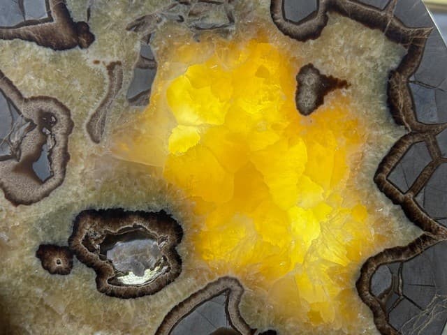 RARE  7 9/16"  SEPTARIAN SLAB W/ FOSSIL CRAB  ,A+ QUALITY: & FL/PHOSPHORESCENT! 2