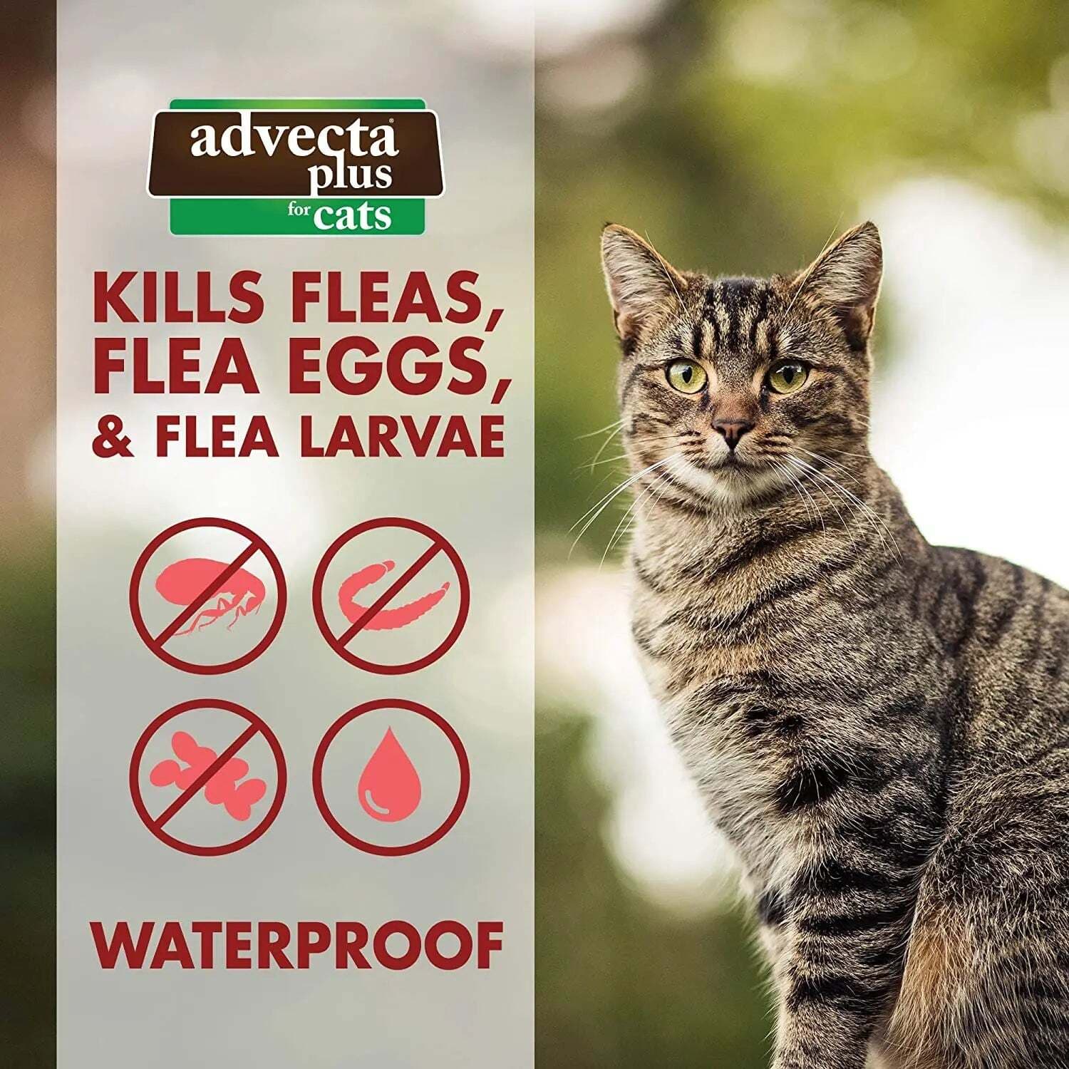 Advecta Plus Flea Protection Squeeze-On for Cats Over 9lbs 4CT 5