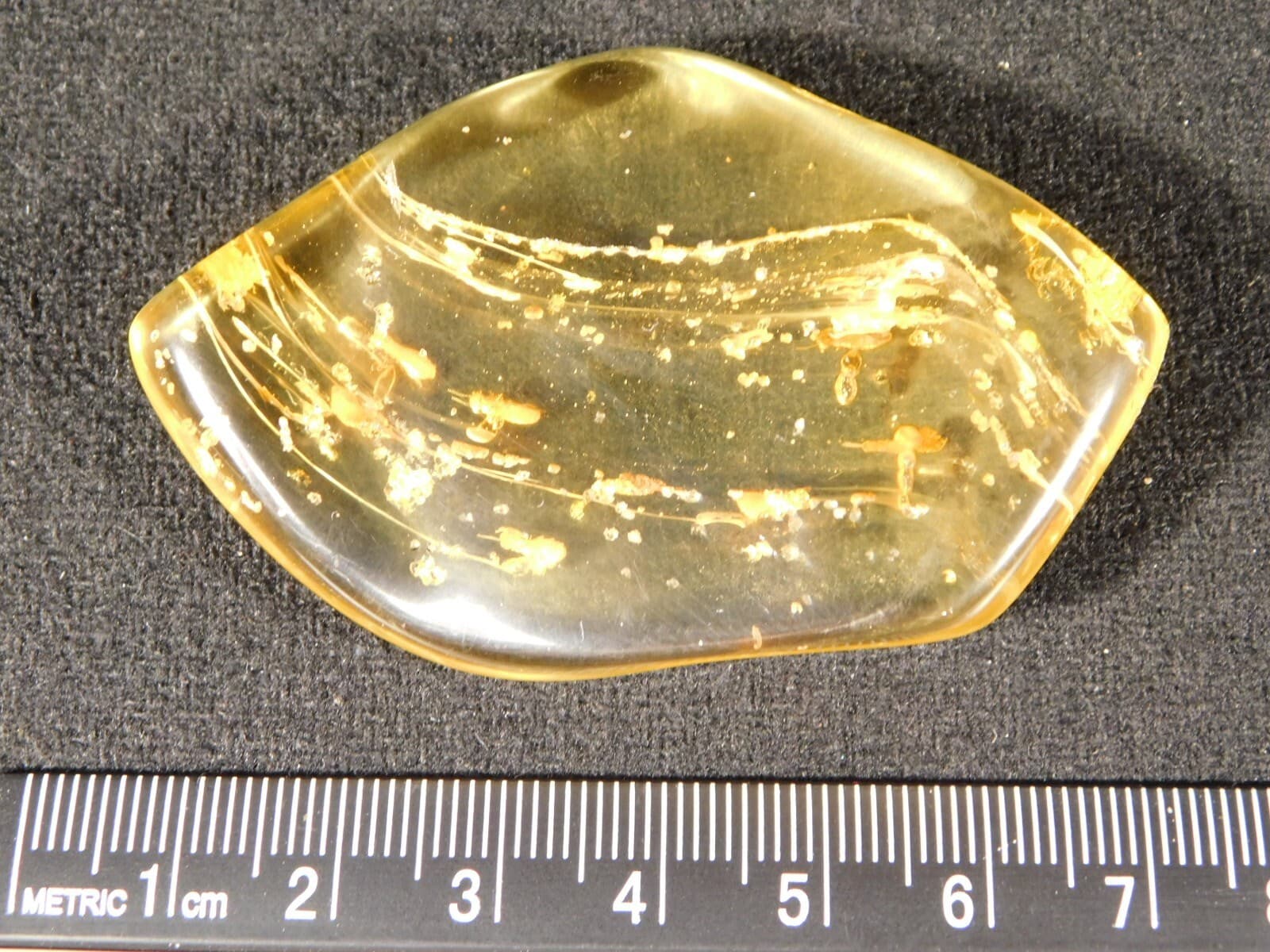 Polished Fossil AMBER With FOUR! Little TERMITE Fossils From Colombia 18.6gr 6