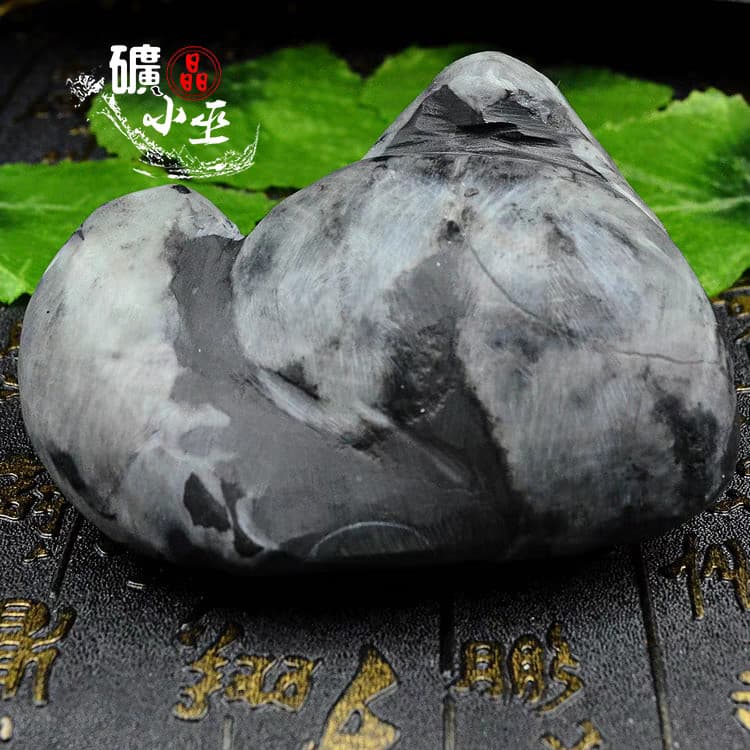 RARE prehistoric Jurassic Period invertebrate Stringocephalus fossil 2