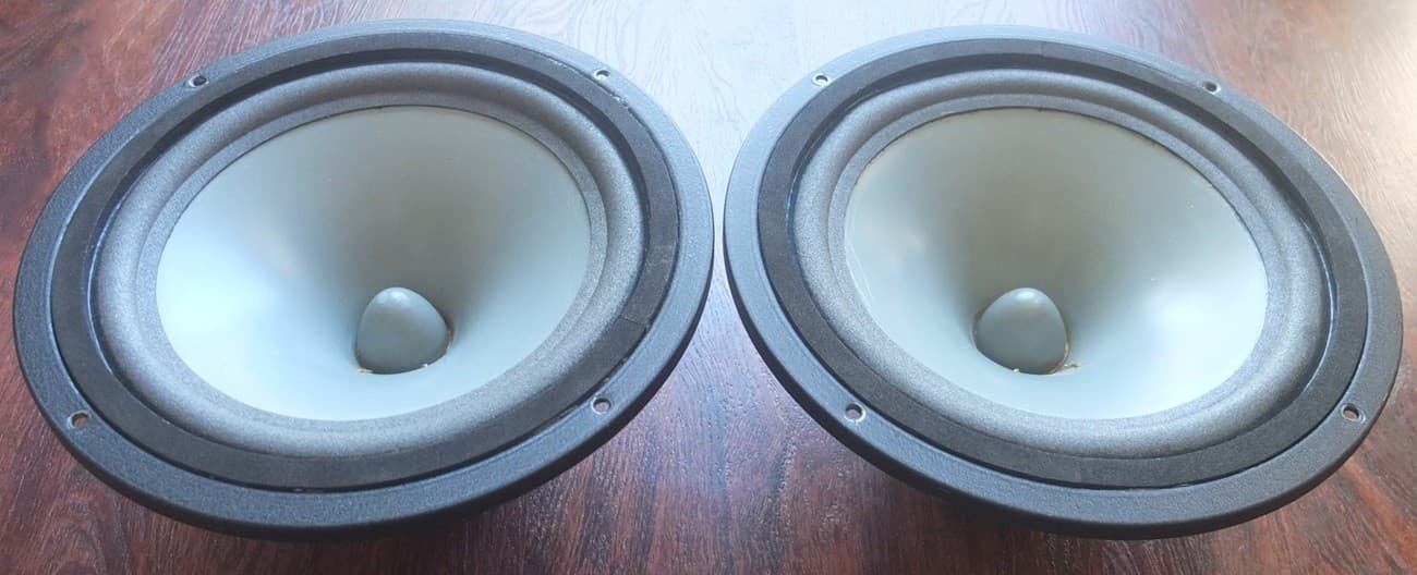 vintage Infinity 10" gray poly cone woofers for RSa RSb speakers c.1979—refoamed 4