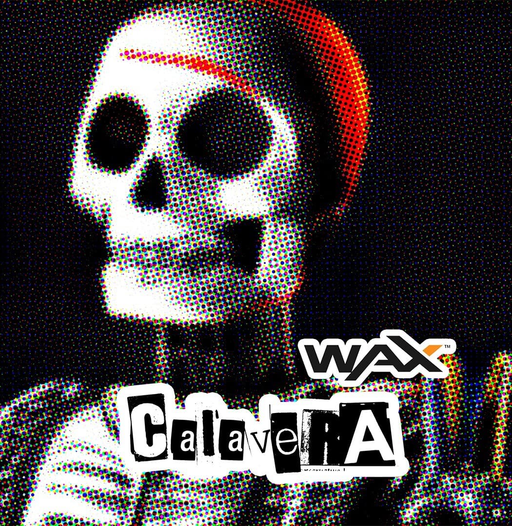 Calaveras NFT PFP  10 Randomly Selected NFT from Series 2001-3000 3