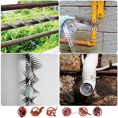 Bird Spikes - Stainless Steel Fence Spikes for Pigeons, Raccoons, Snakes 60inch 4