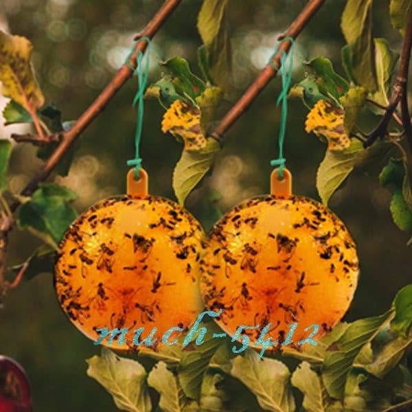 Bug Fruit Fly Traps Sticky Ball Fungus Gnat Pest Control Ball for Indoor Outdoor 2