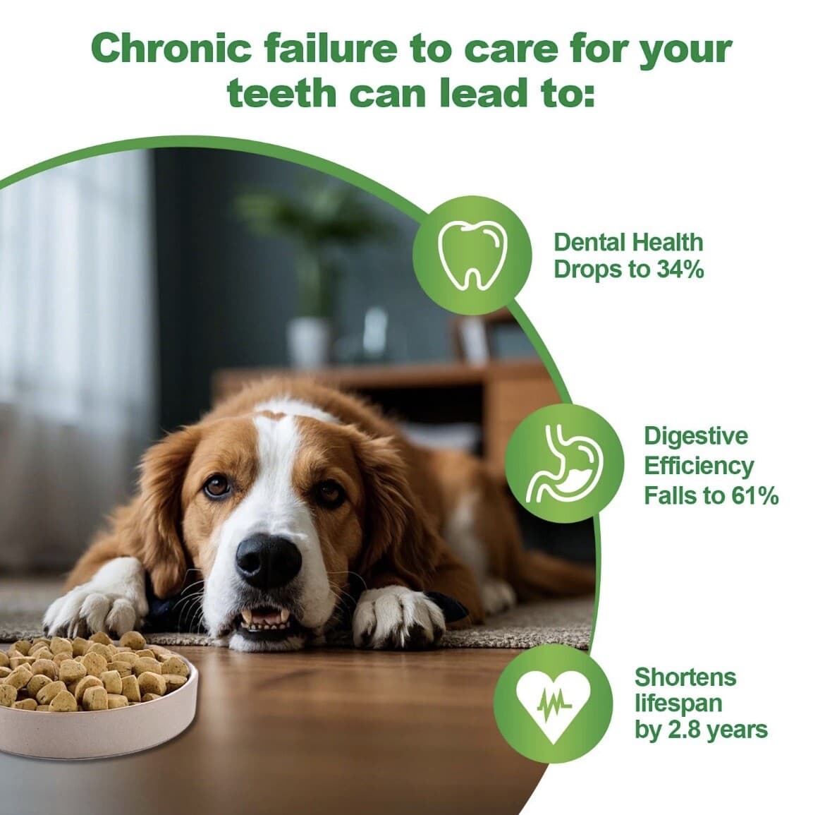 Pet Dental Cleaning Powder for Dogs - For Clean Teeth, Tartar and Fresh Breath 2