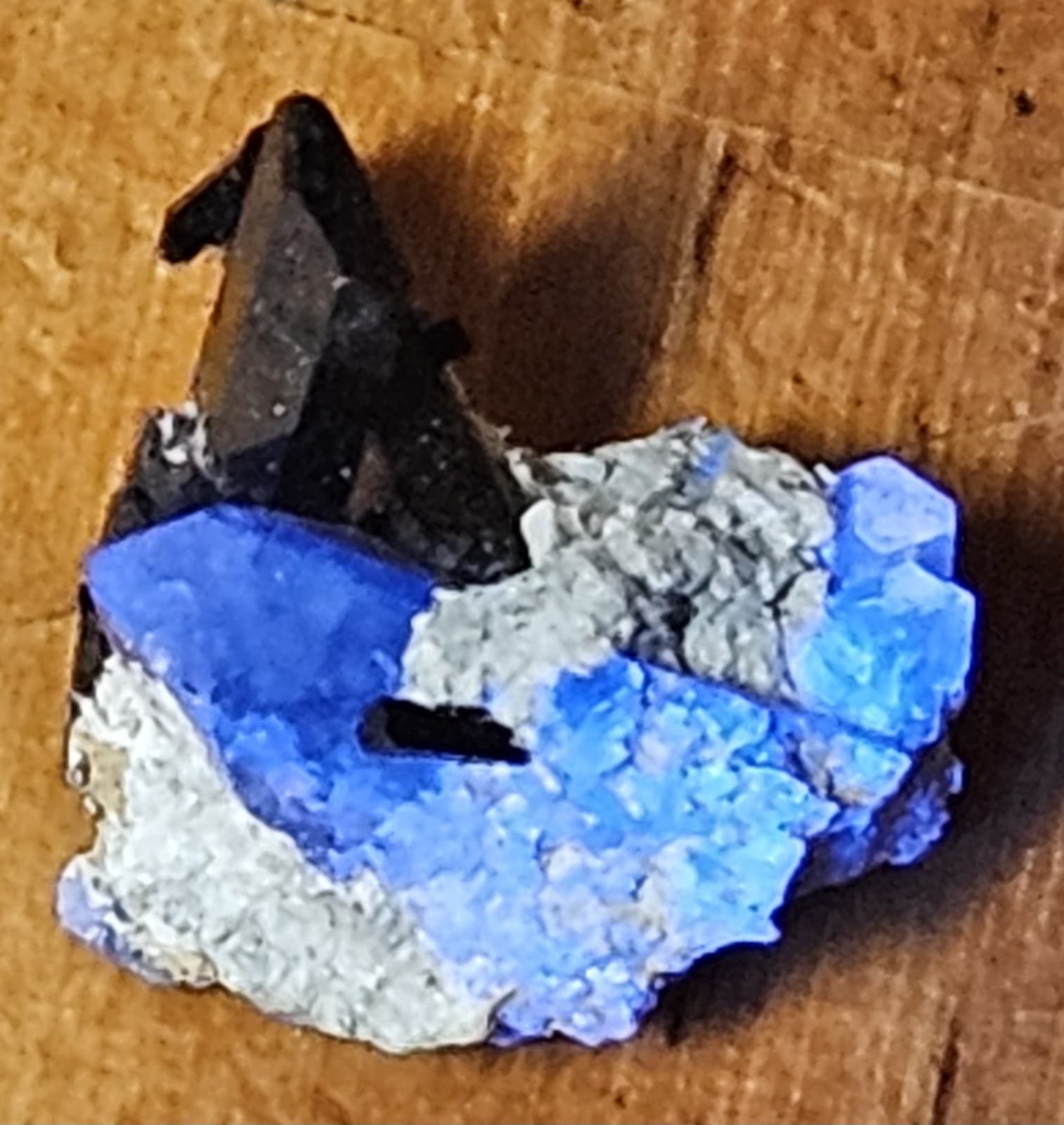 benitoite with neptunite thumbnail specimen