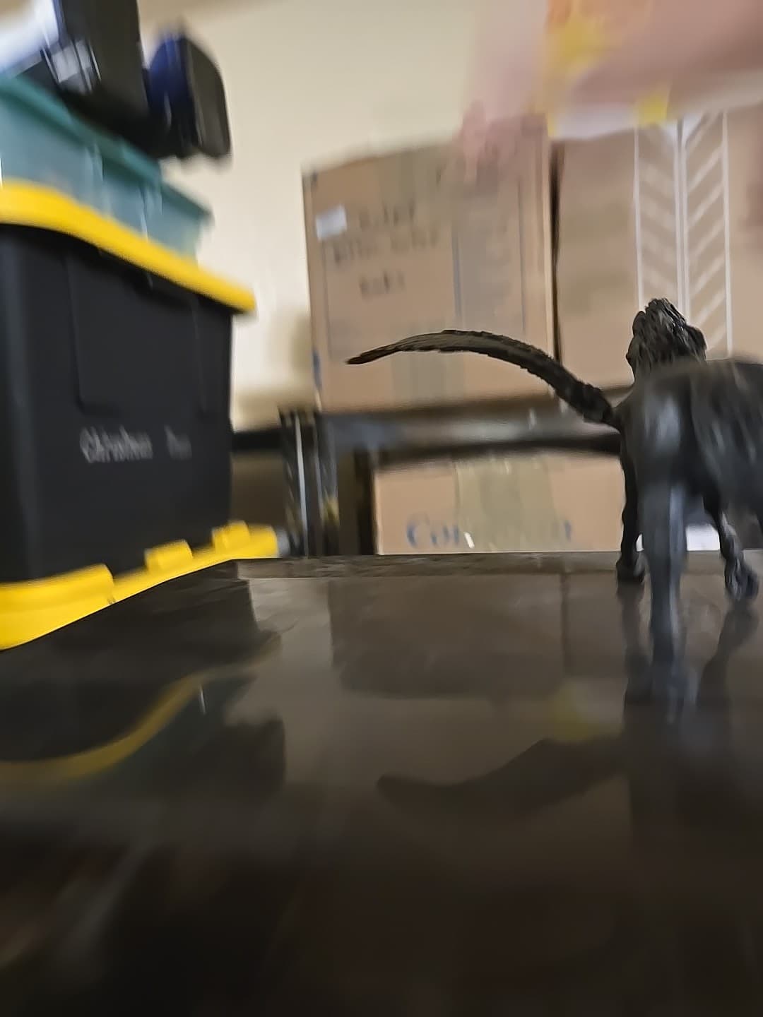 Papo Black Pegasus Horse Fantasy Figure #39068 Horse Wings winged Star 2007 2