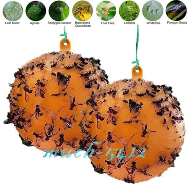 Bug Fruit Fly Traps Sticky Ball Fungus Gnat Pest Control Ball for Indoor Outdoor