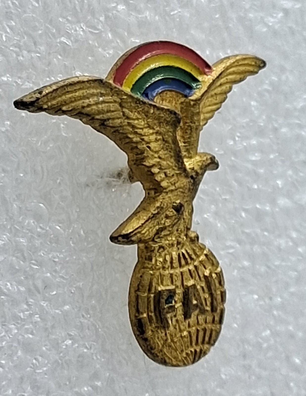 Federation Aeronautique Internationale Pin ( World Air Sports Federation ) 2