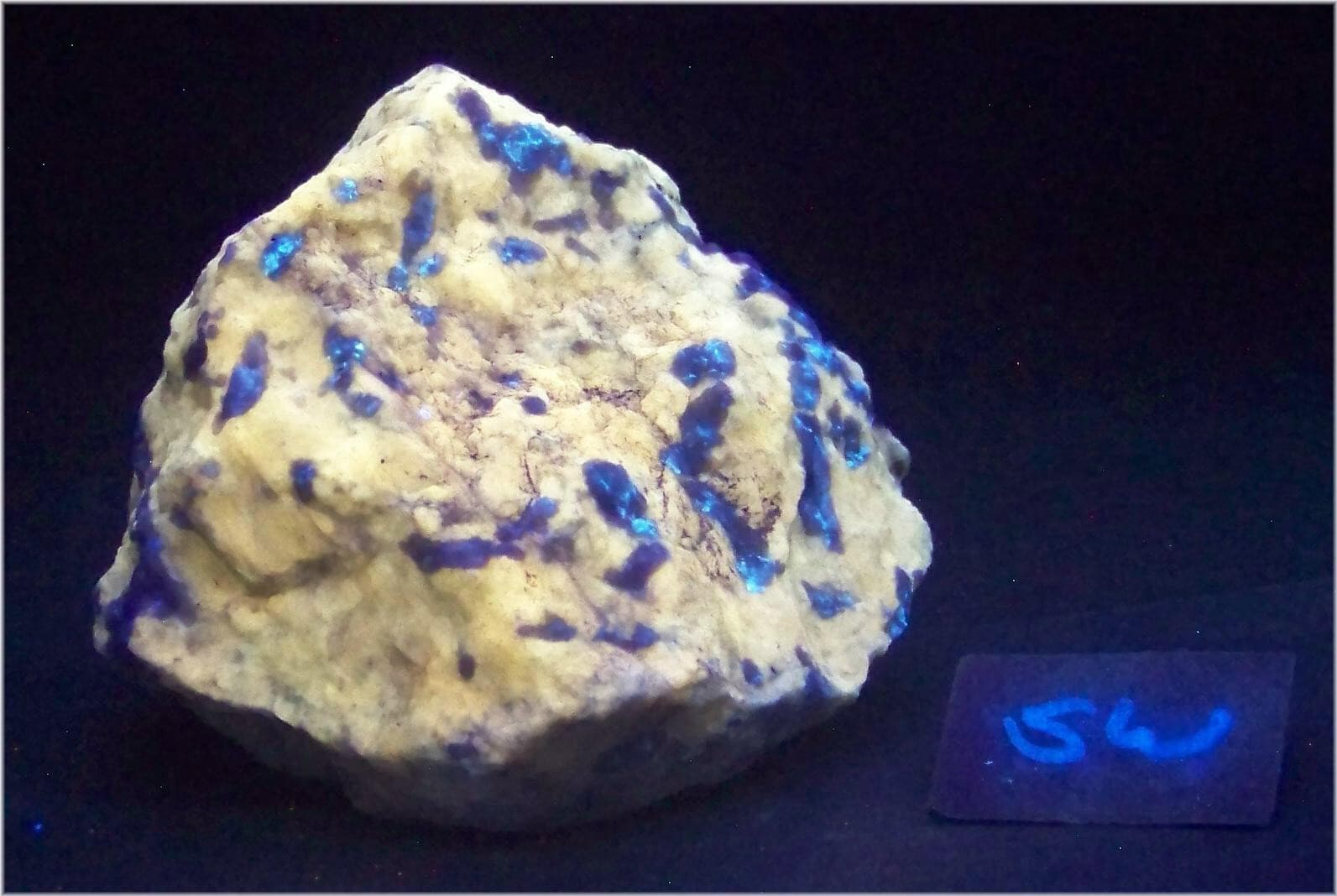 Fluorescent Wernerite Diopside and Prenhite Large Specimen WSP02 2