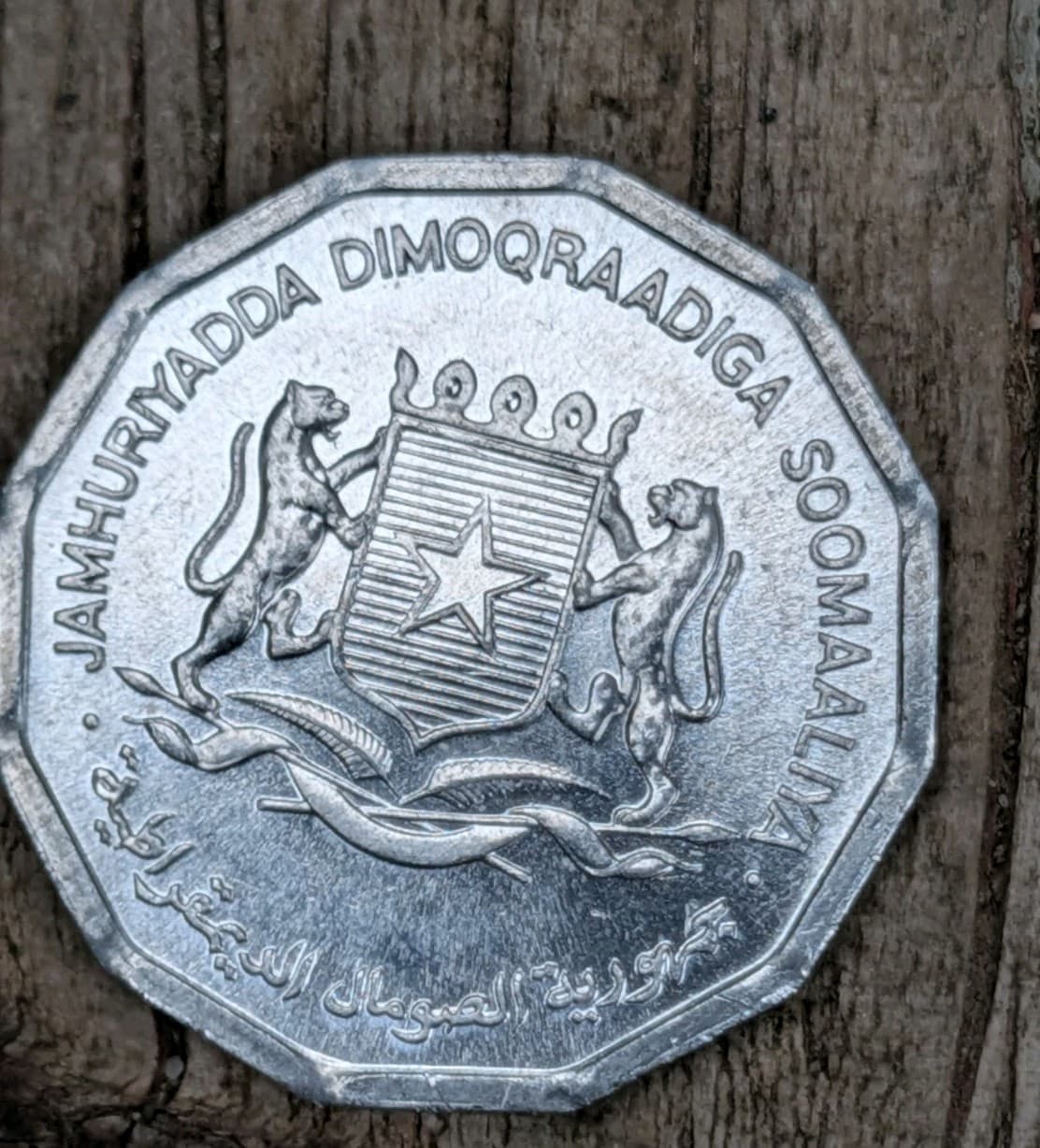 Somalia 1976 10 Senti Lamb animal L