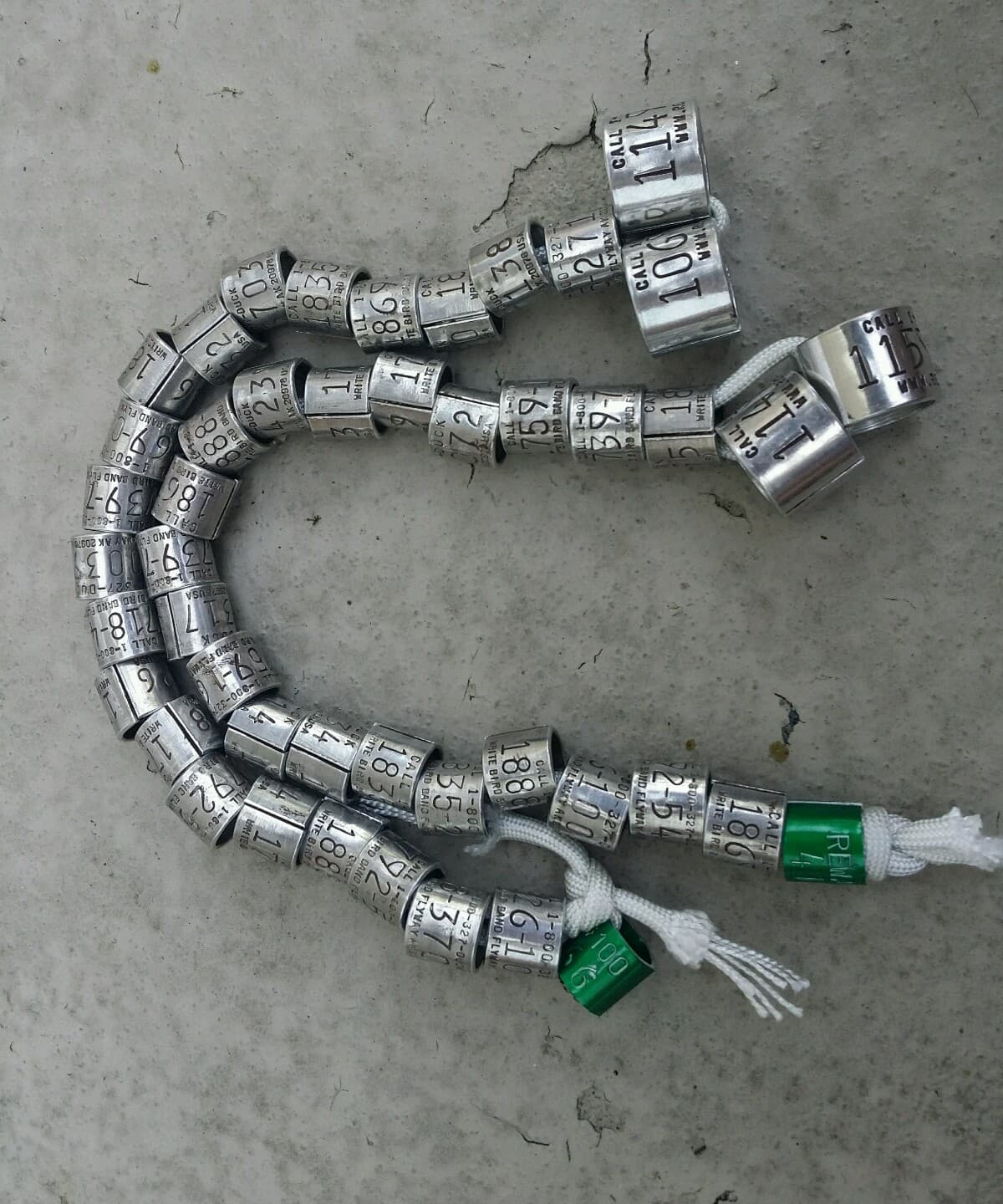 Duck and goose bands 46 bands bird band duck band goose band 2 Reward