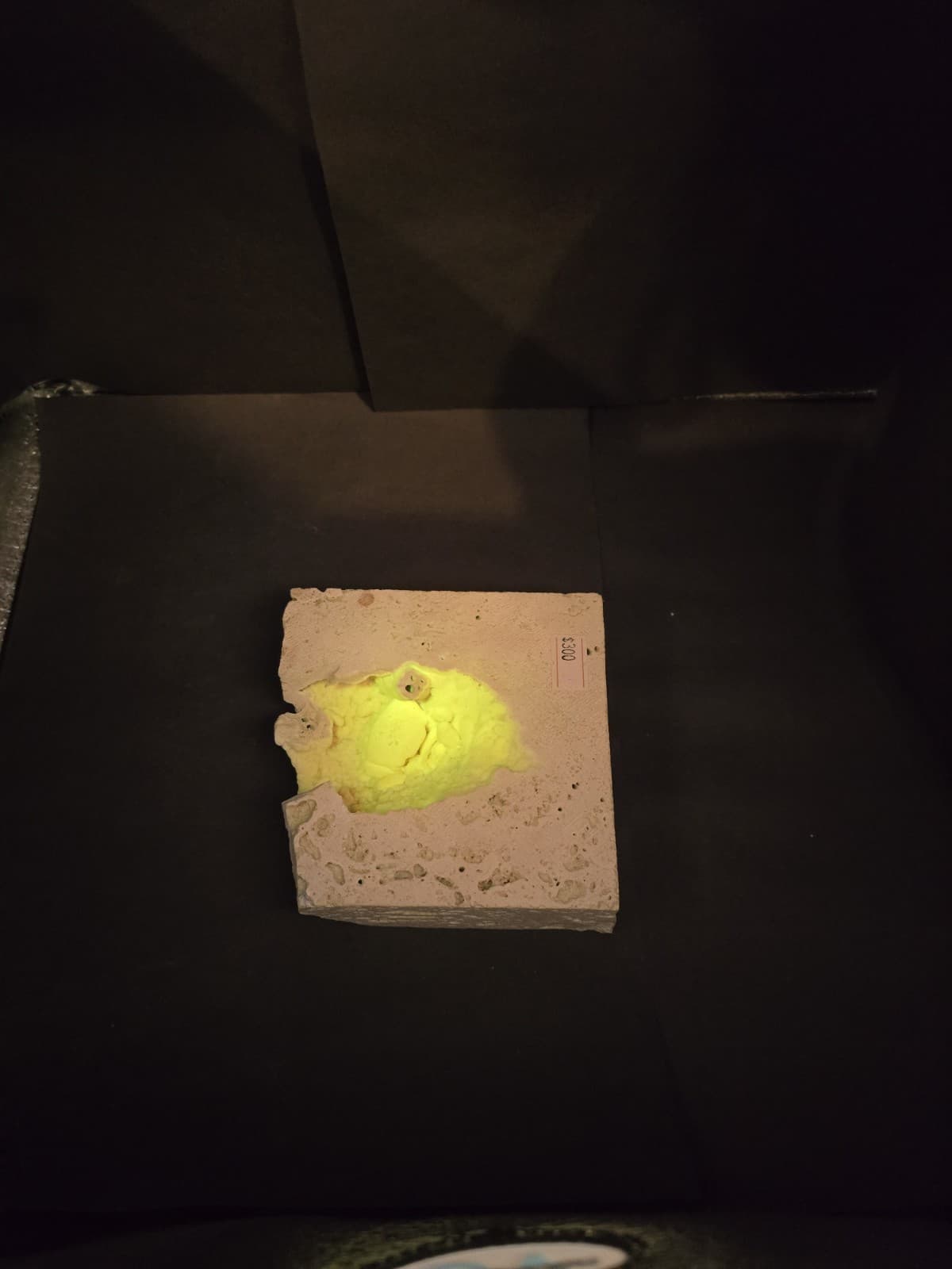 Travertine crab fossil 6