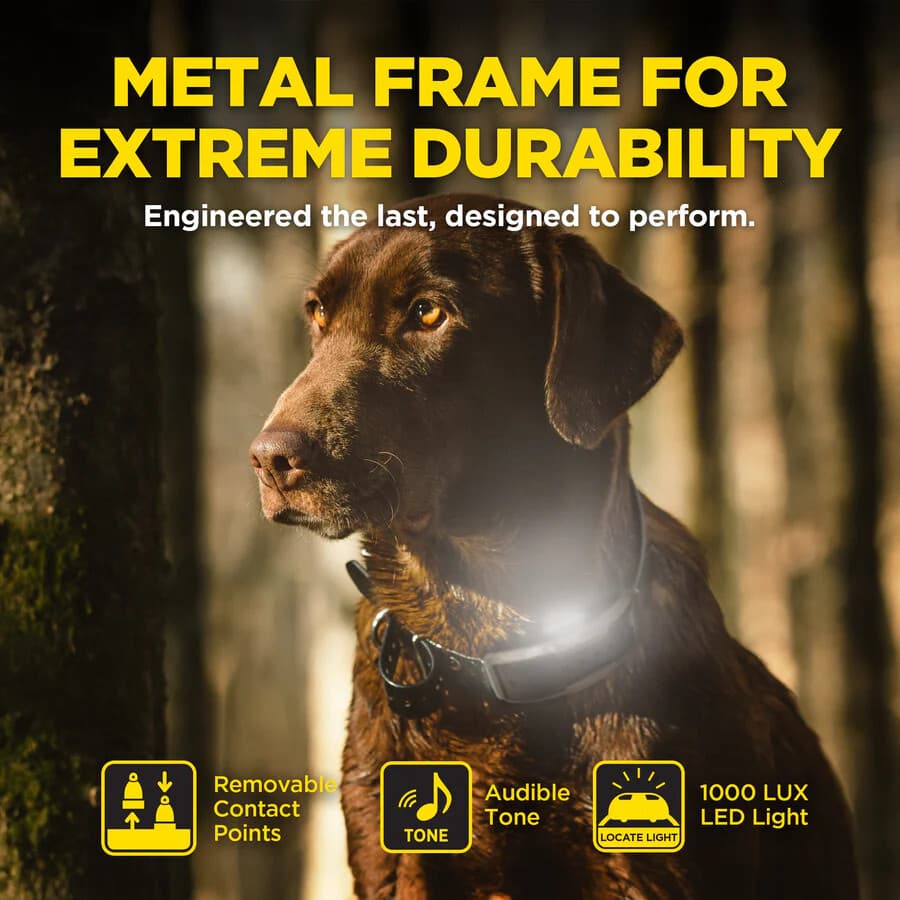 Dogtra 1900X Remote Training Collar 3/4 Mile Range, Boost and XPP Vibration 6