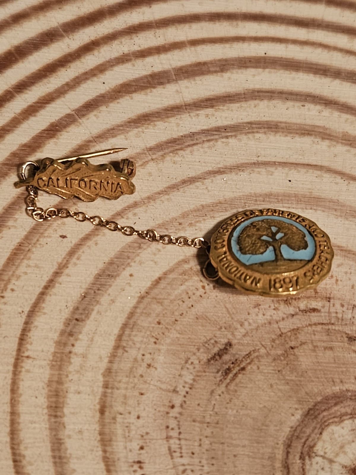 Vintage 10K Gold National Congress Parents Teacher PTA Lapel Pin 1897 California 3