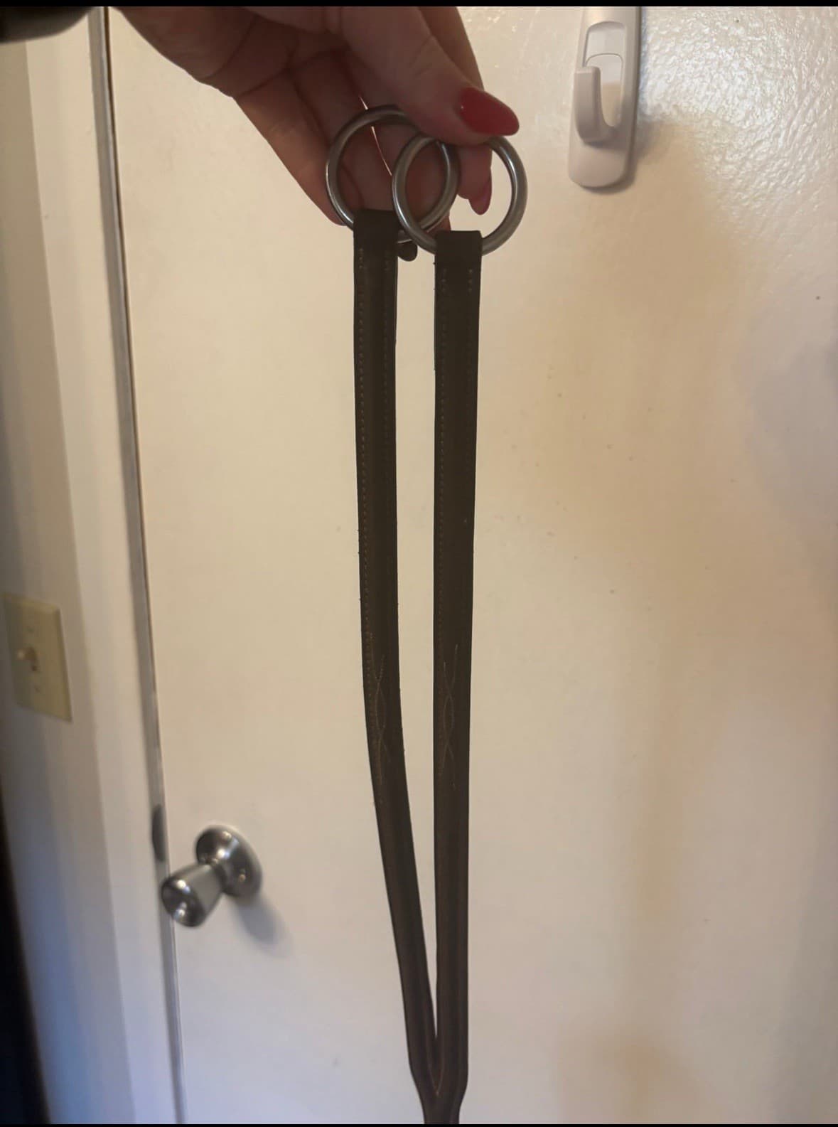 Antares Running Martingale 3