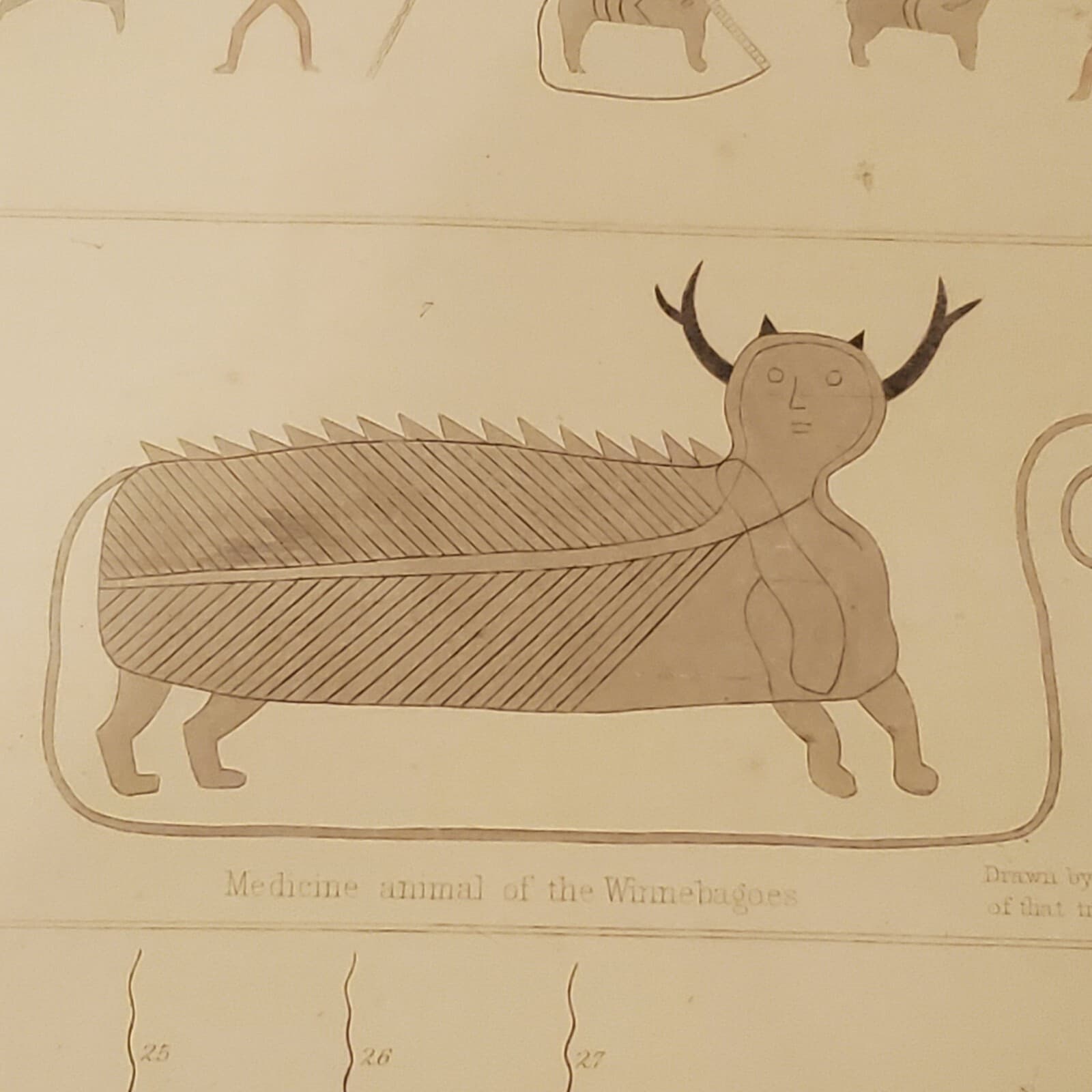  Winnebago  Drawing By Chief Little Hill Of Medicine Animal RARE 1850s   4