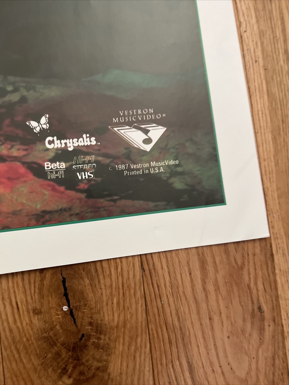 Billy Idol Vital Idol Poster 1987 Vestron MusicVideo USA Fast S/H 4