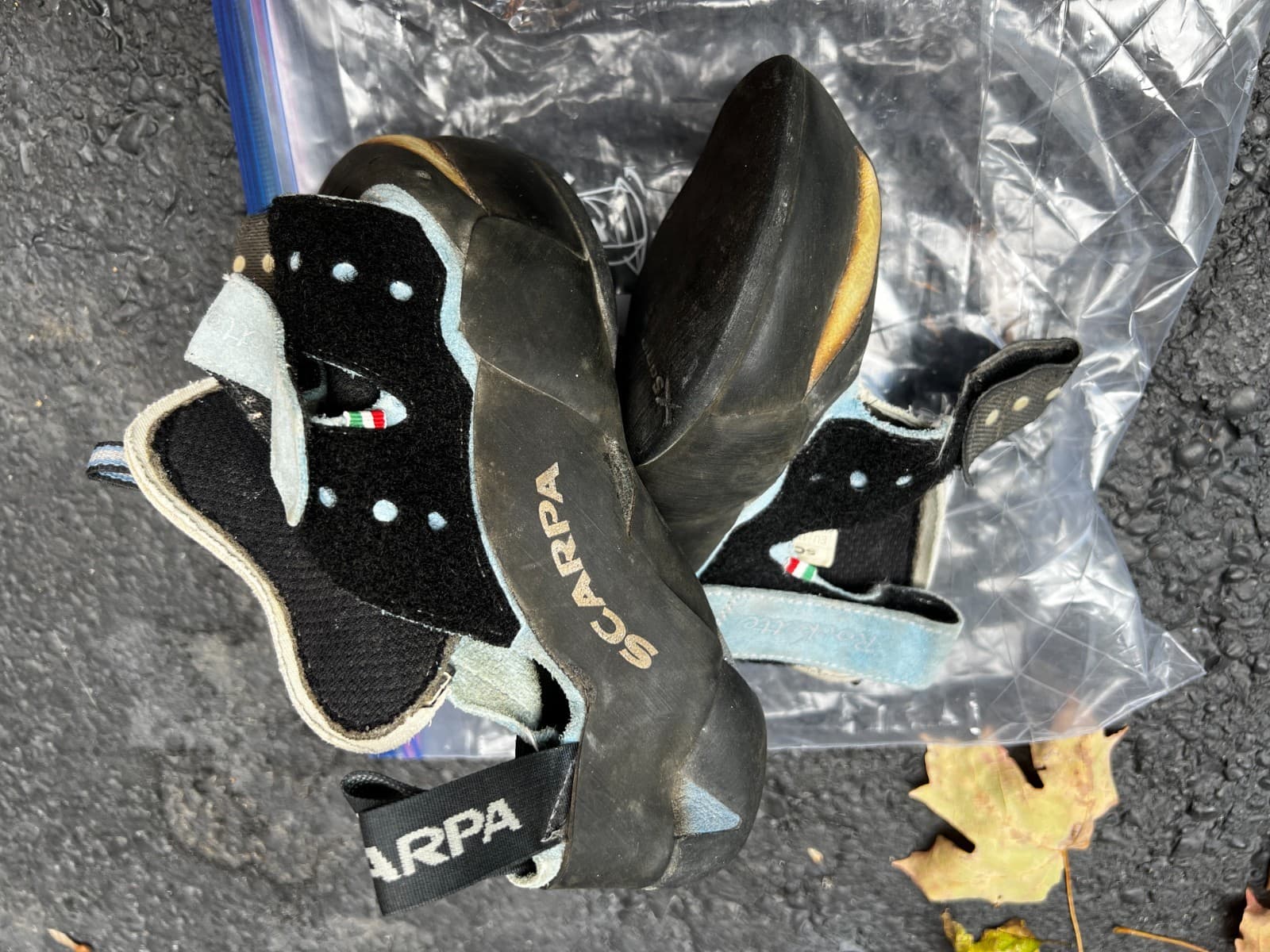 Scarpa Rockette Climbing Shoes EU 38