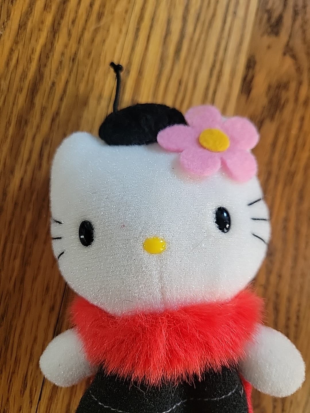 Hello Kitty Pocchaco Beanie Plush Sanrio Smiles Ladybug 2000? 2