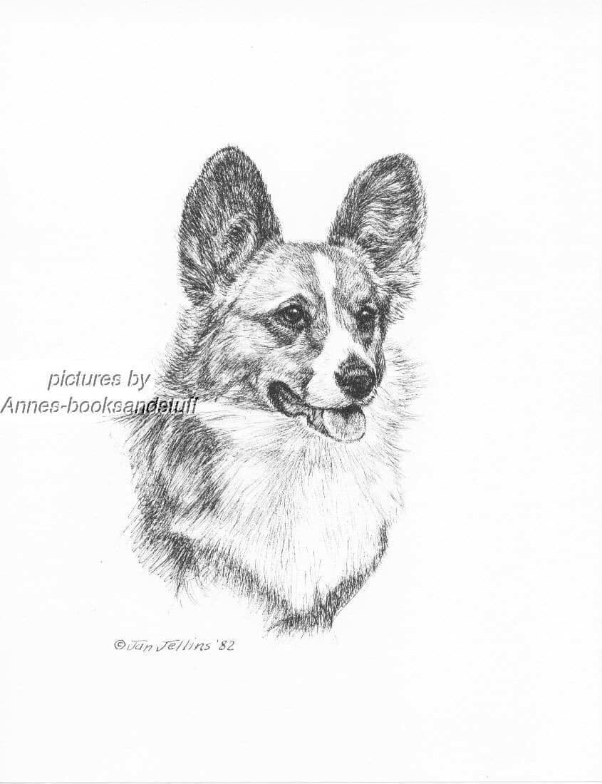 #316 Cardigan  CORGI portrait  dog art print * Pen and ink drawing * Jan Jellins