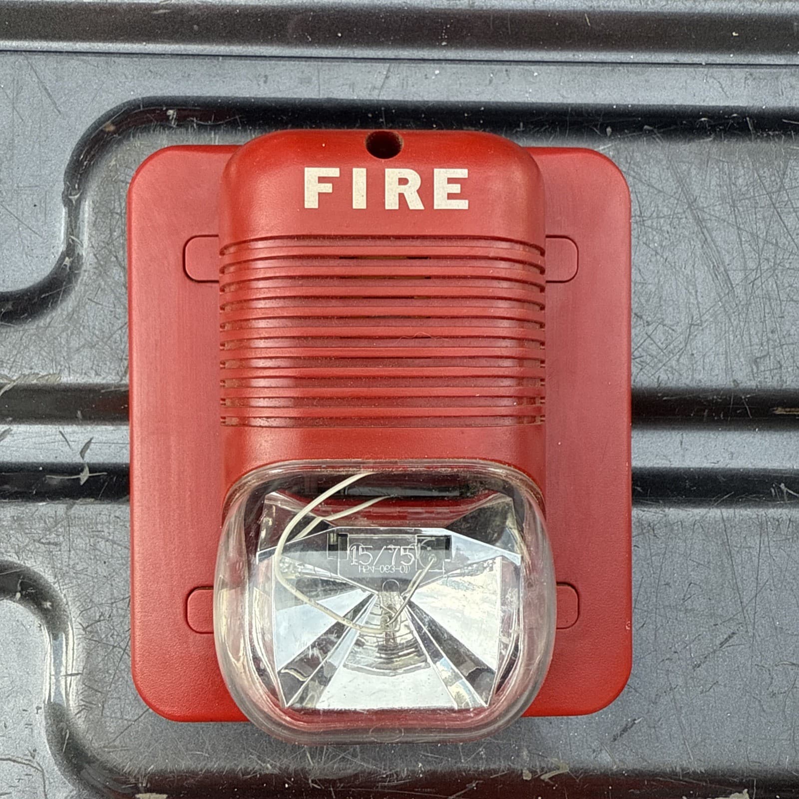 System Sensor P241575 Horn Strobe With Set Screw