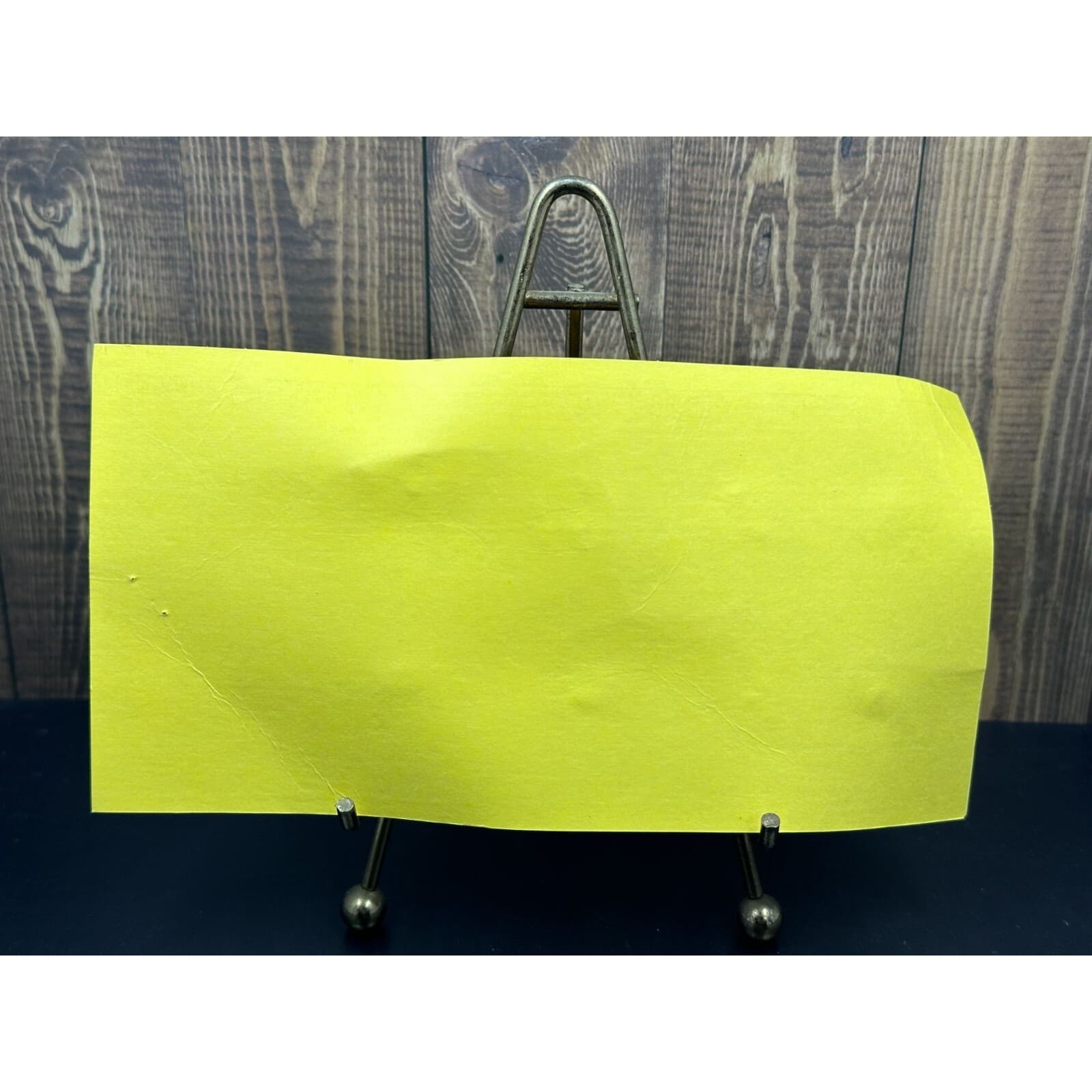 Fossils of Our Prehistoric Past Learning Educational Display 2