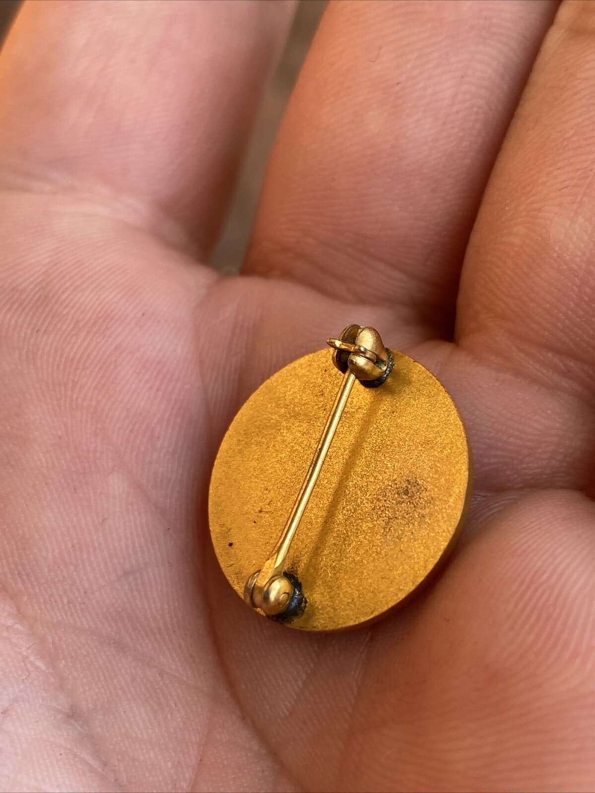 1917-1967 50 Years NYS NEW YORK STATE ASSN TEACHERS OF MENTALLY HANDICAPPED Pin 5