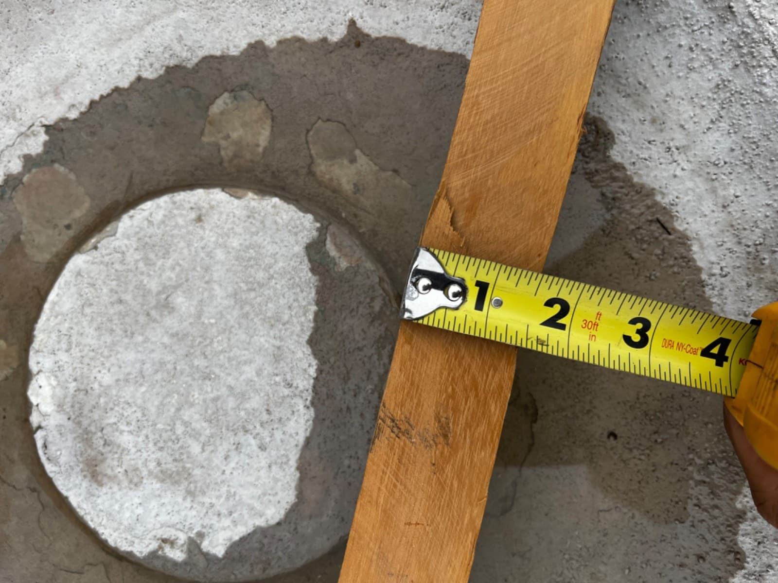 Premium SEASONED Osage Orange Bow Stave 3