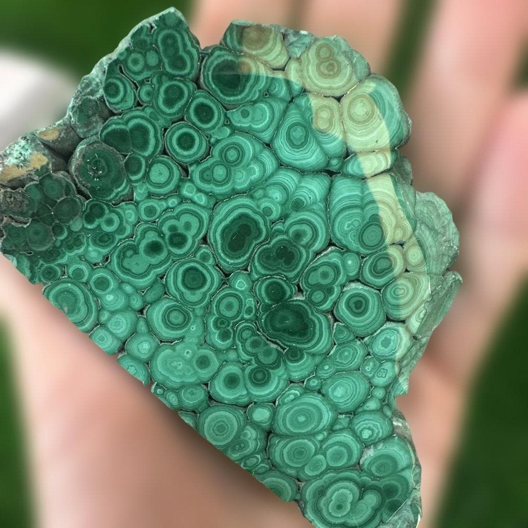 Suiseki Bonseki Bonsai Japanese Malachite Plate 4