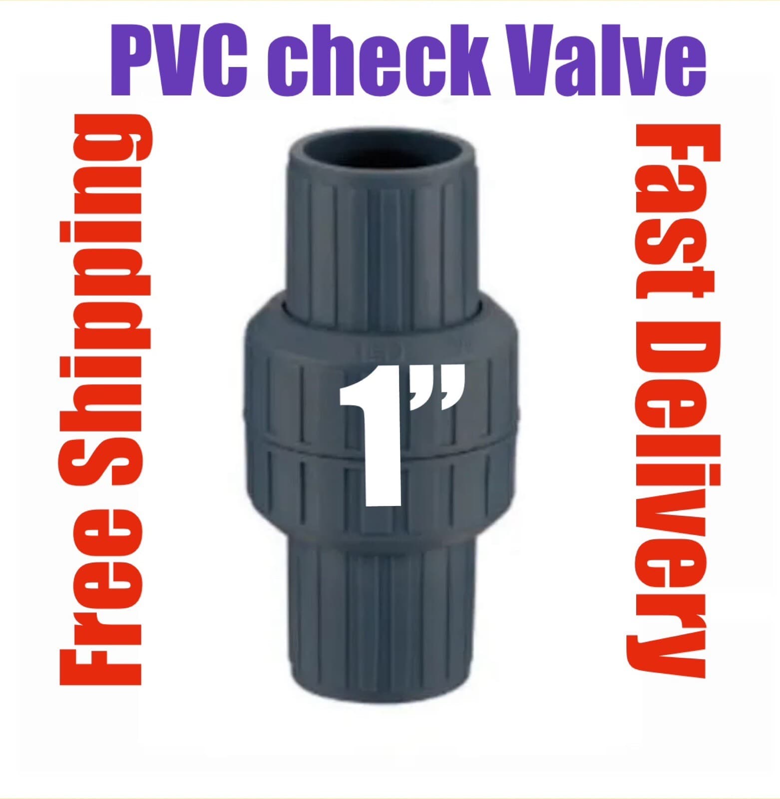 PVC Check valve 1” LD