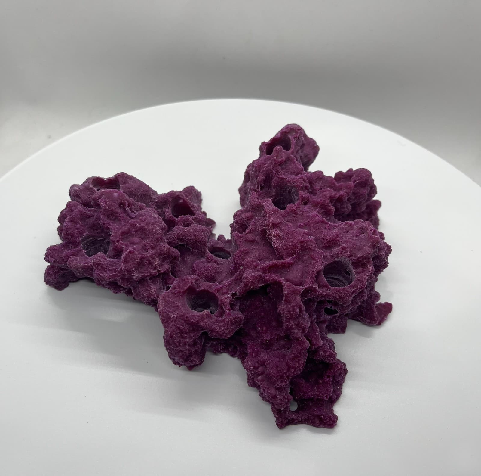 8 Hole Sandbed Frag Rack/Rock base for Live Coral Plug Ons 5