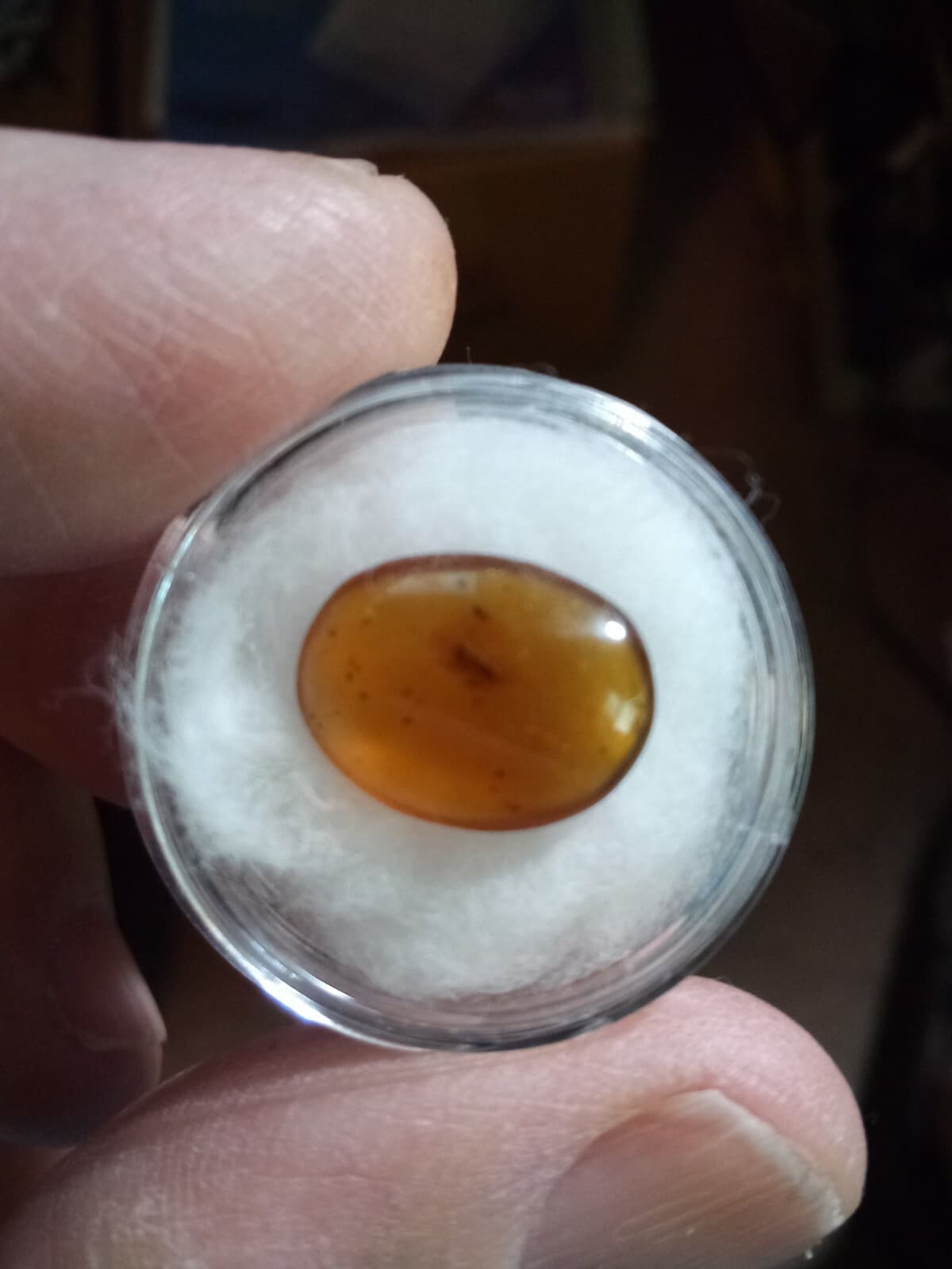 ANCIENT AMBER WITH FOSSIL INCLUSION