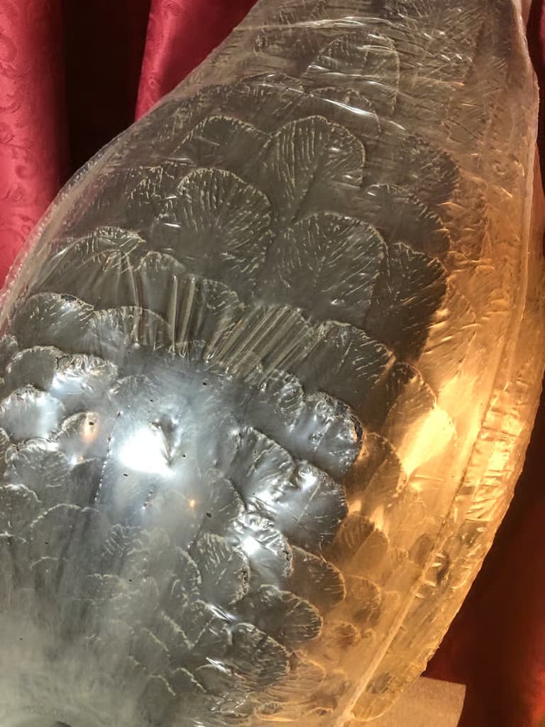 Vintage Decoy Canadian Goose Carry Lite #590 6