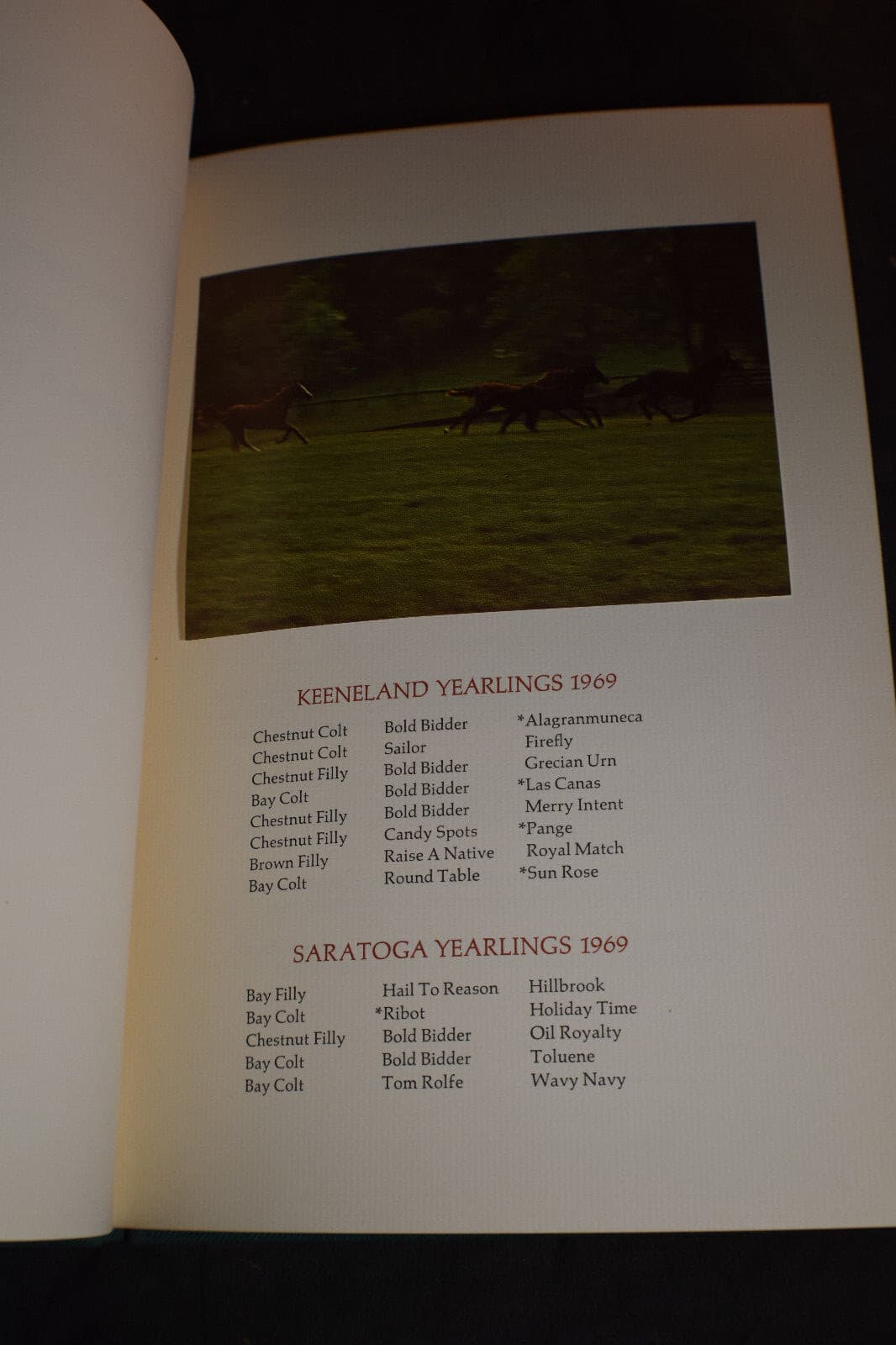 Gainesway Farm Yearlings 1969 3