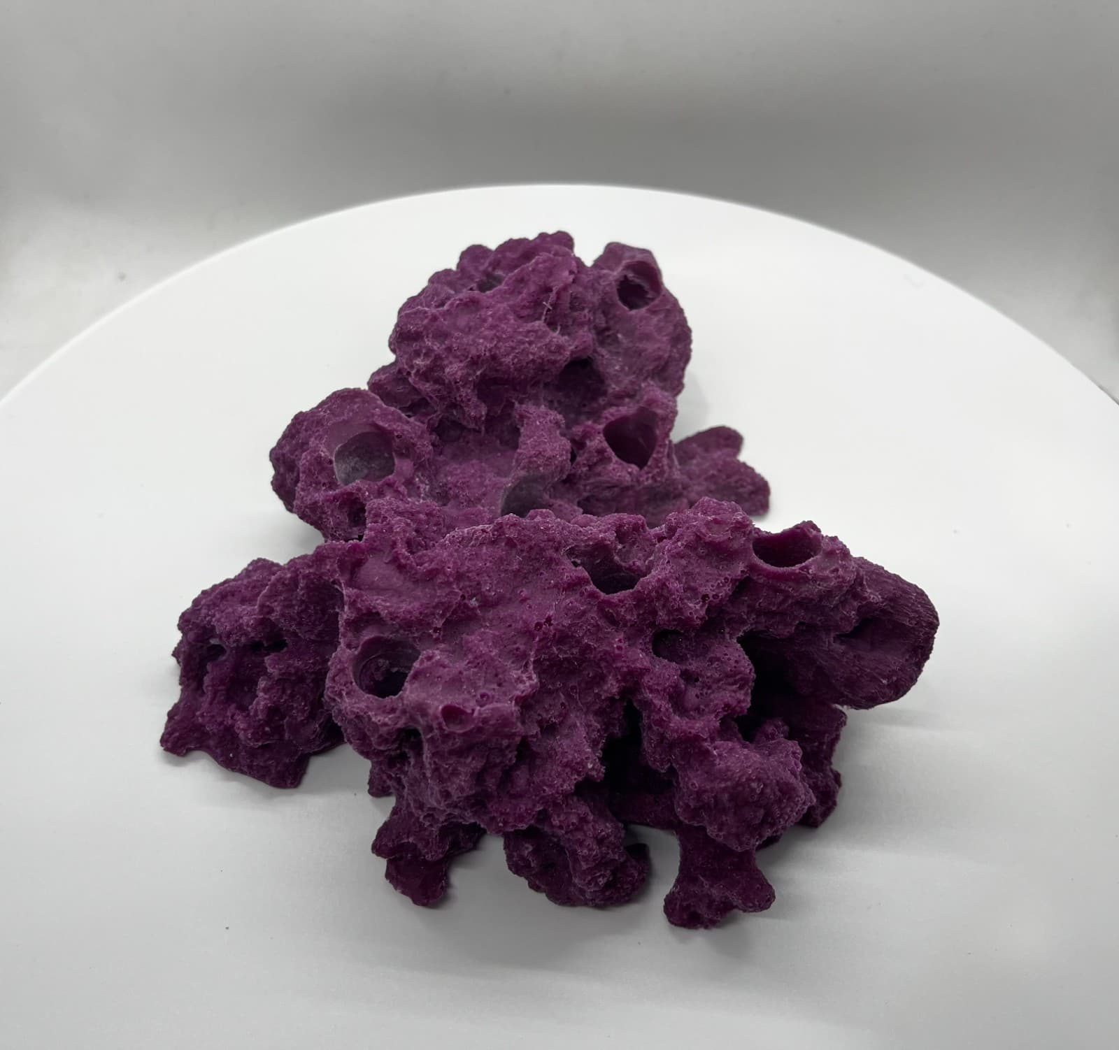 8 Hole Sandbed Frag Rack/Rock base for Live Coral Plug Ons 6